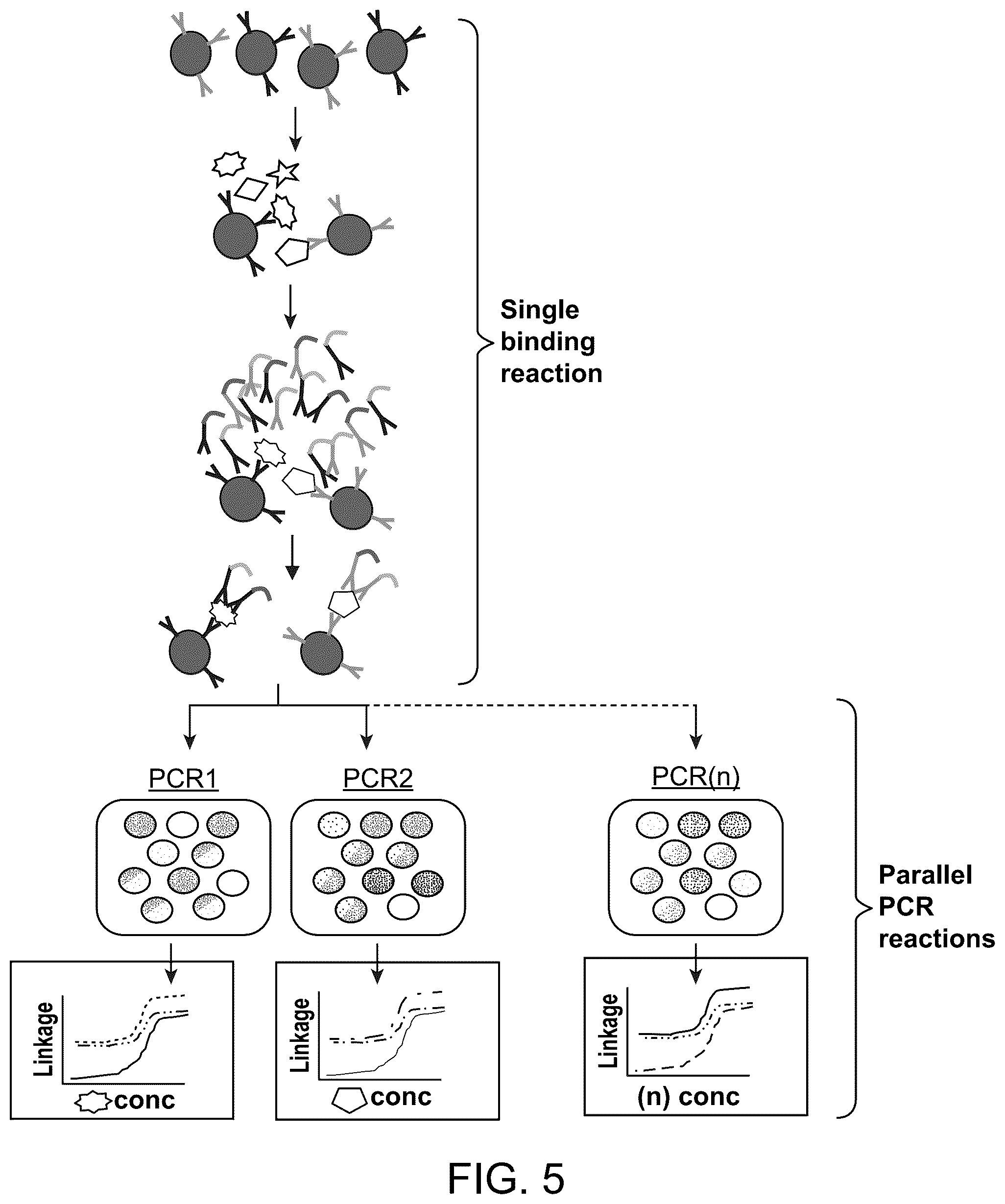 Patent US12313628 Figure 5 – Digital affinity linkage assay