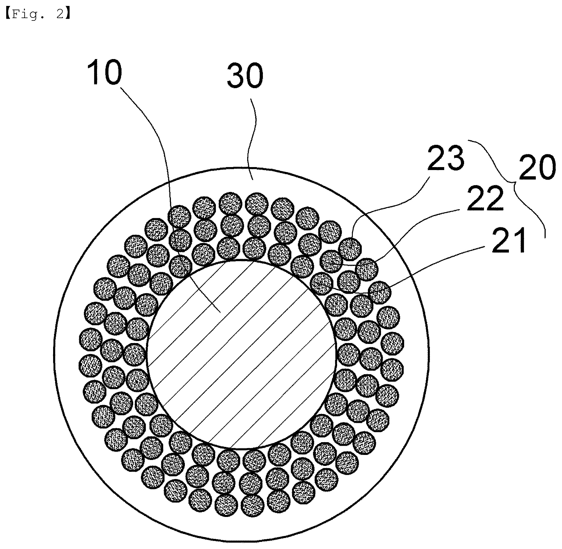 Patent US12313629 Figure 2 – Standard material composition for verifying bioanalyzer and standard strip using same