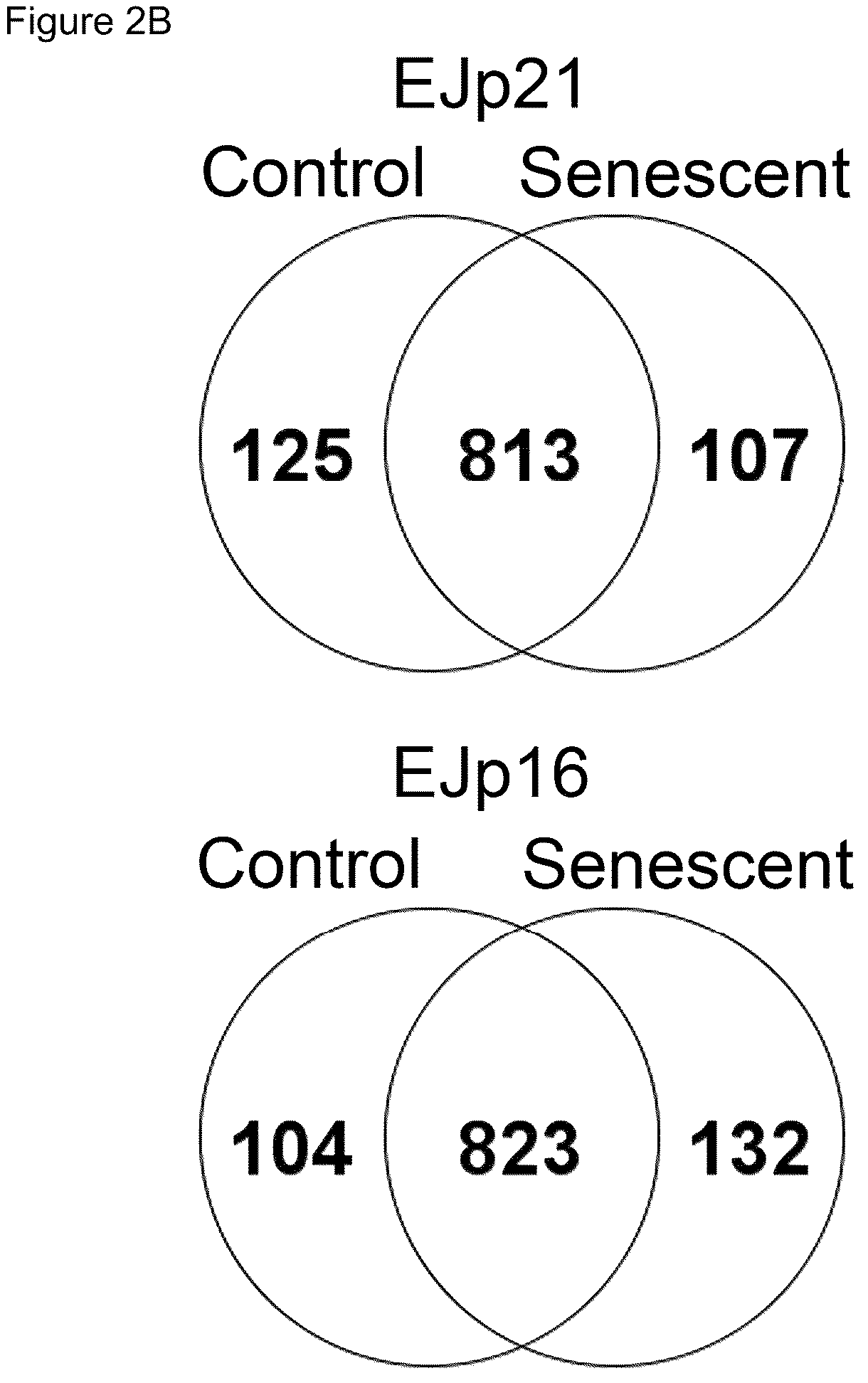 Patent US12313631 Figure 4 – Senescent cell biomarkers
