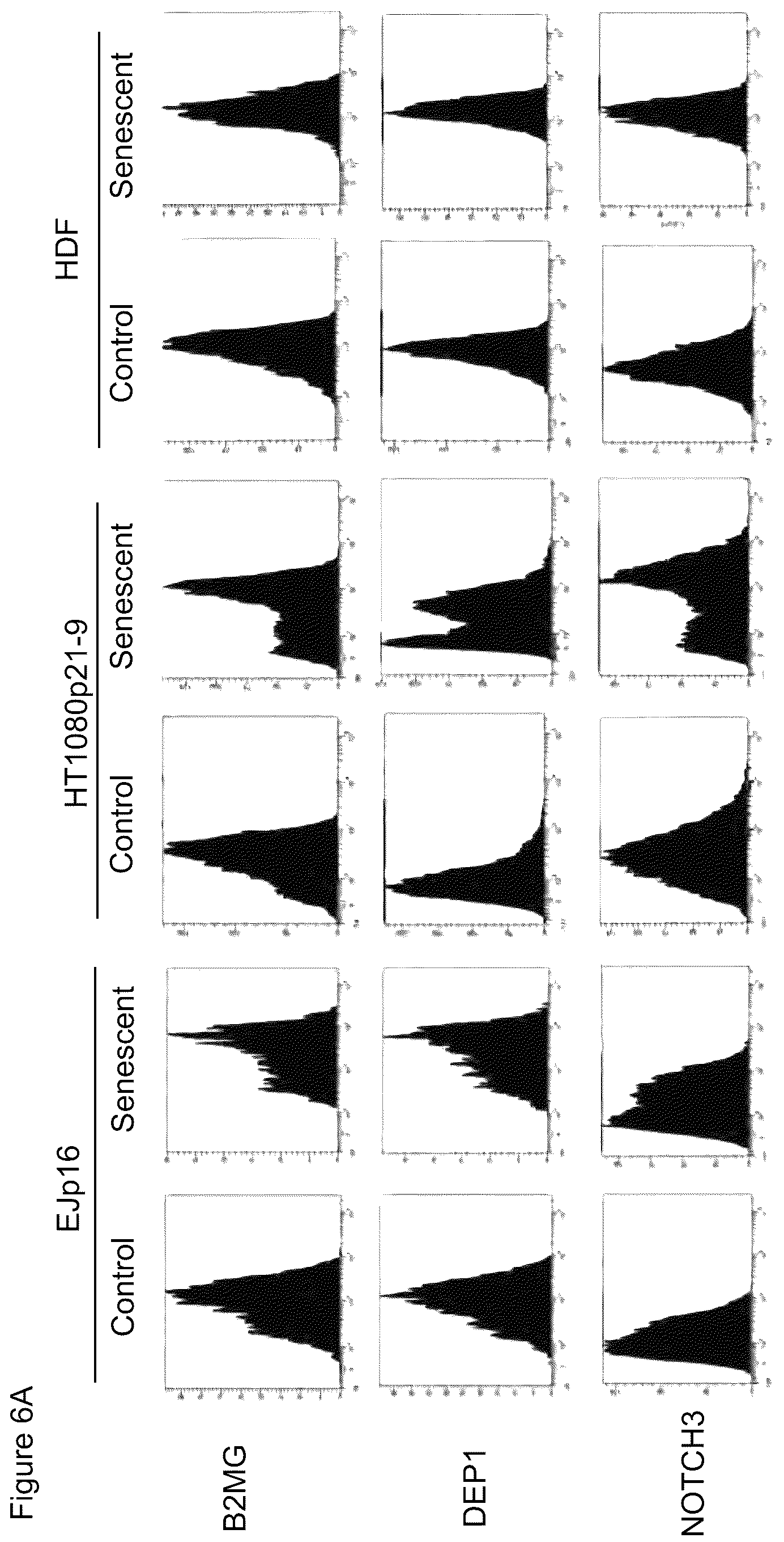 Patent US12313631 Figure 9 – Senescent cell biomarkers