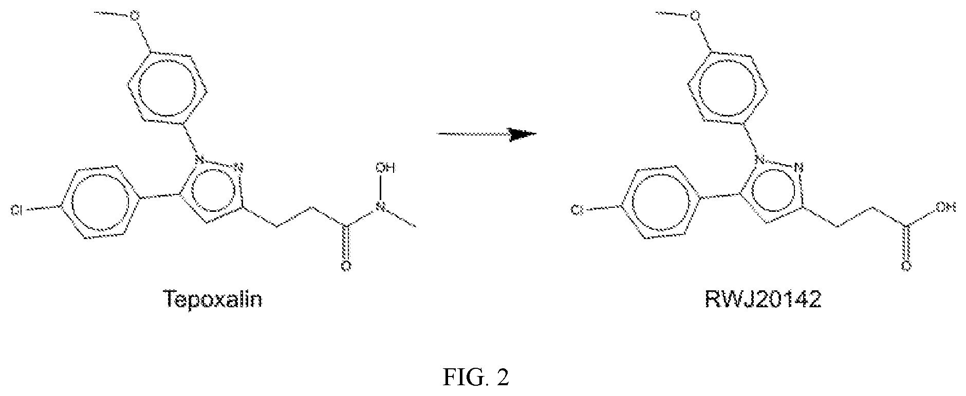 Patent US12313632 Figure 3 – Tepoxalin targeting of ABCB1 overexpressing cancers