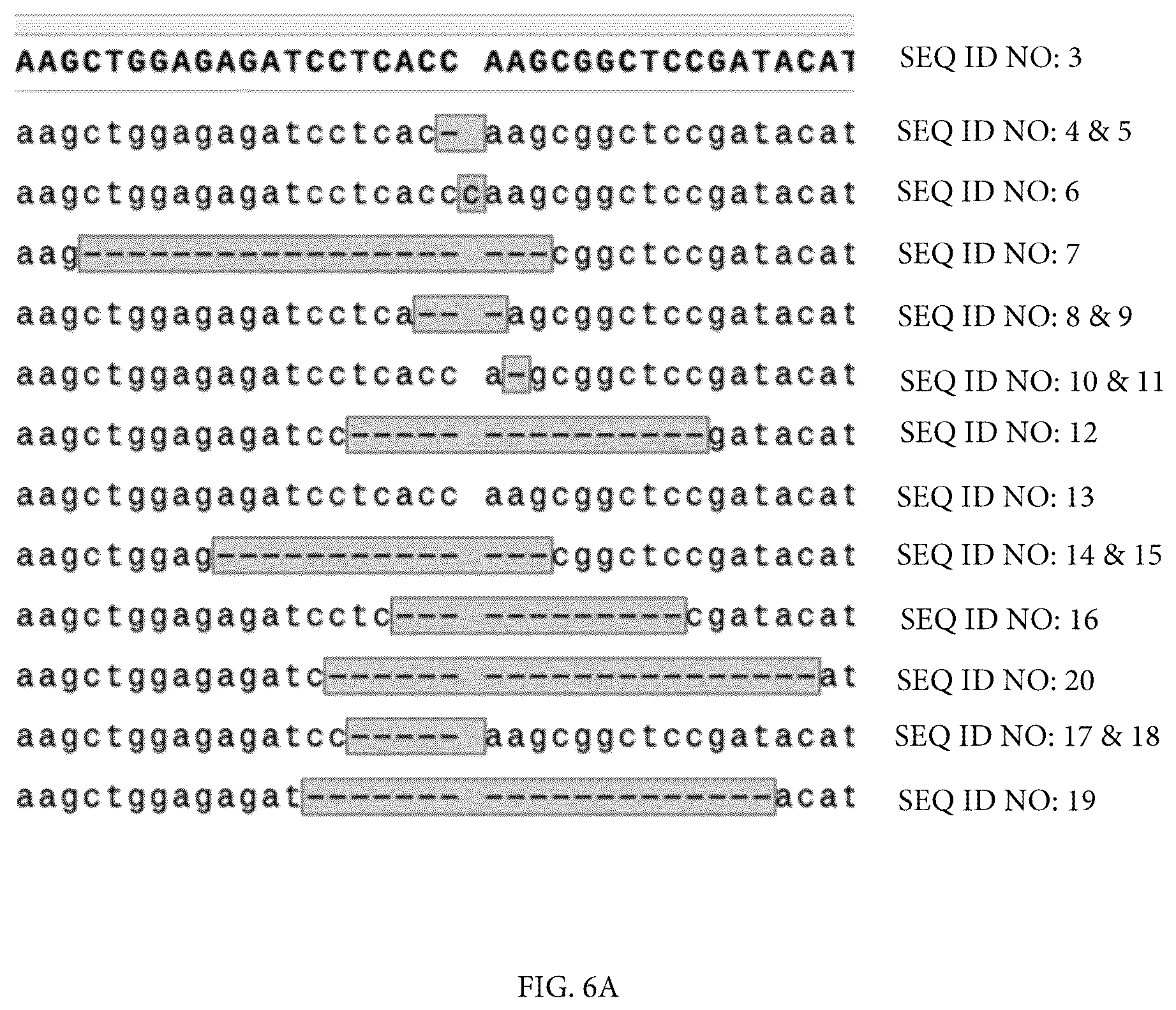 Patent US12313632 Figure 8 – Tepoxalin targeting of ABCB1 overexpressing cancers