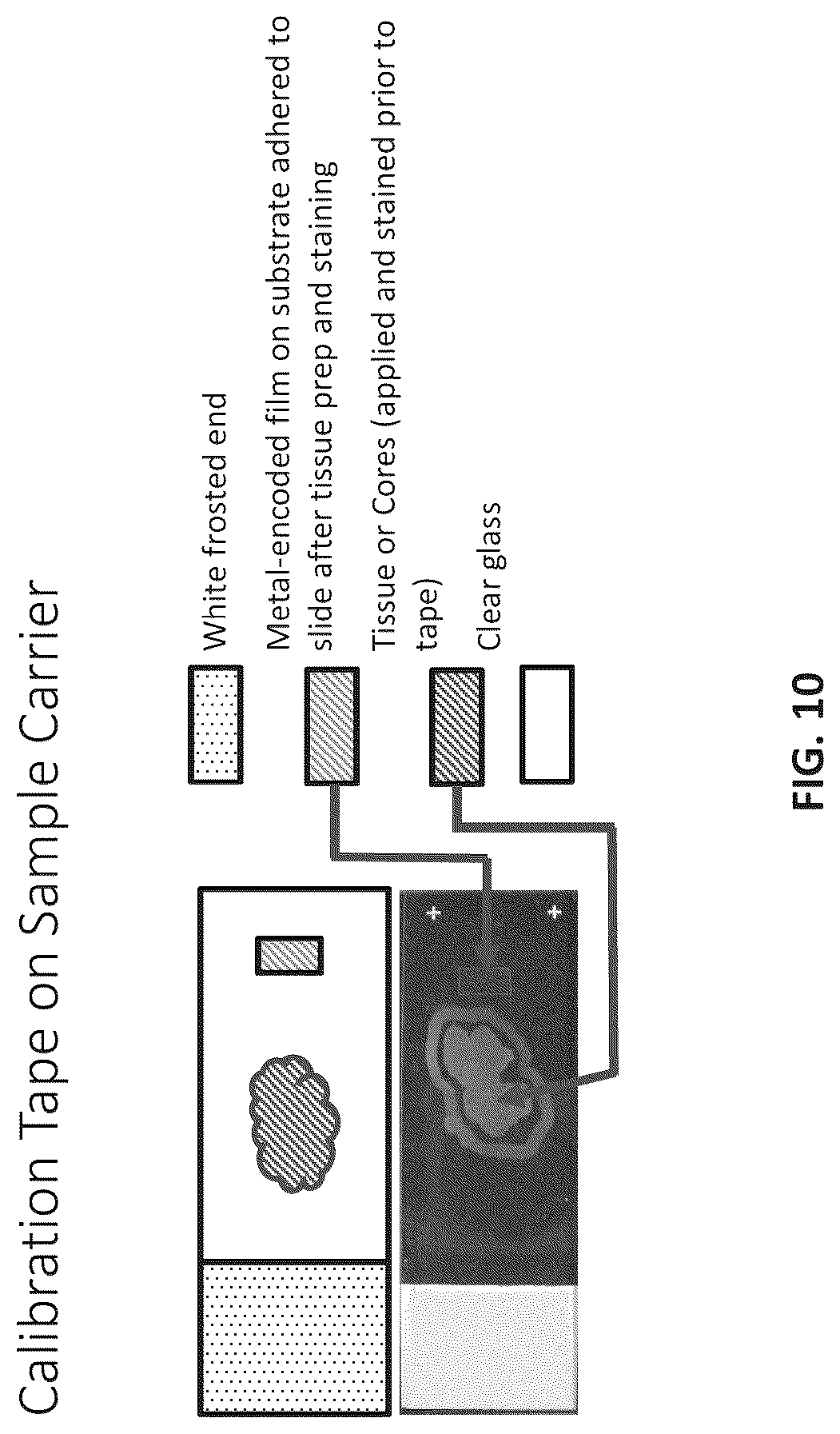 Patent US12313633 Figure 12 – Reagents and methods for elemental mass spectrometry of biological samples