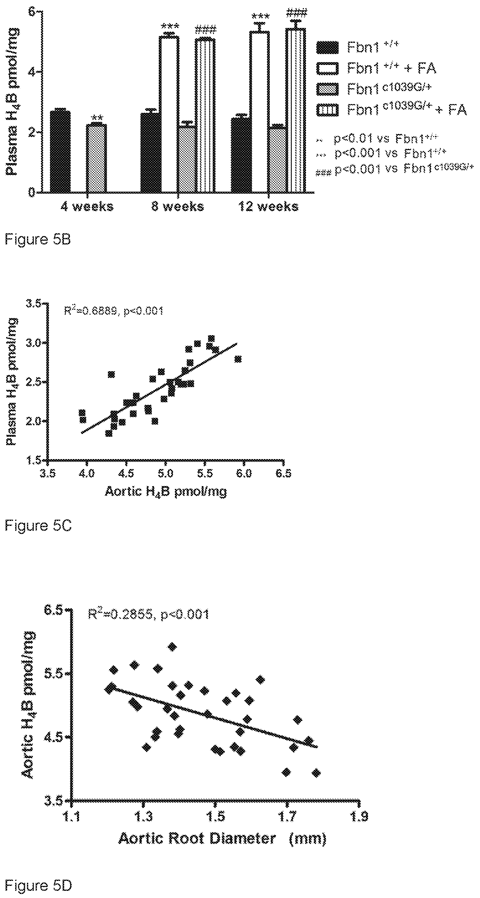 Patent US12313635 Figure 4 – Biomarker for thoracic aortic aneurysm