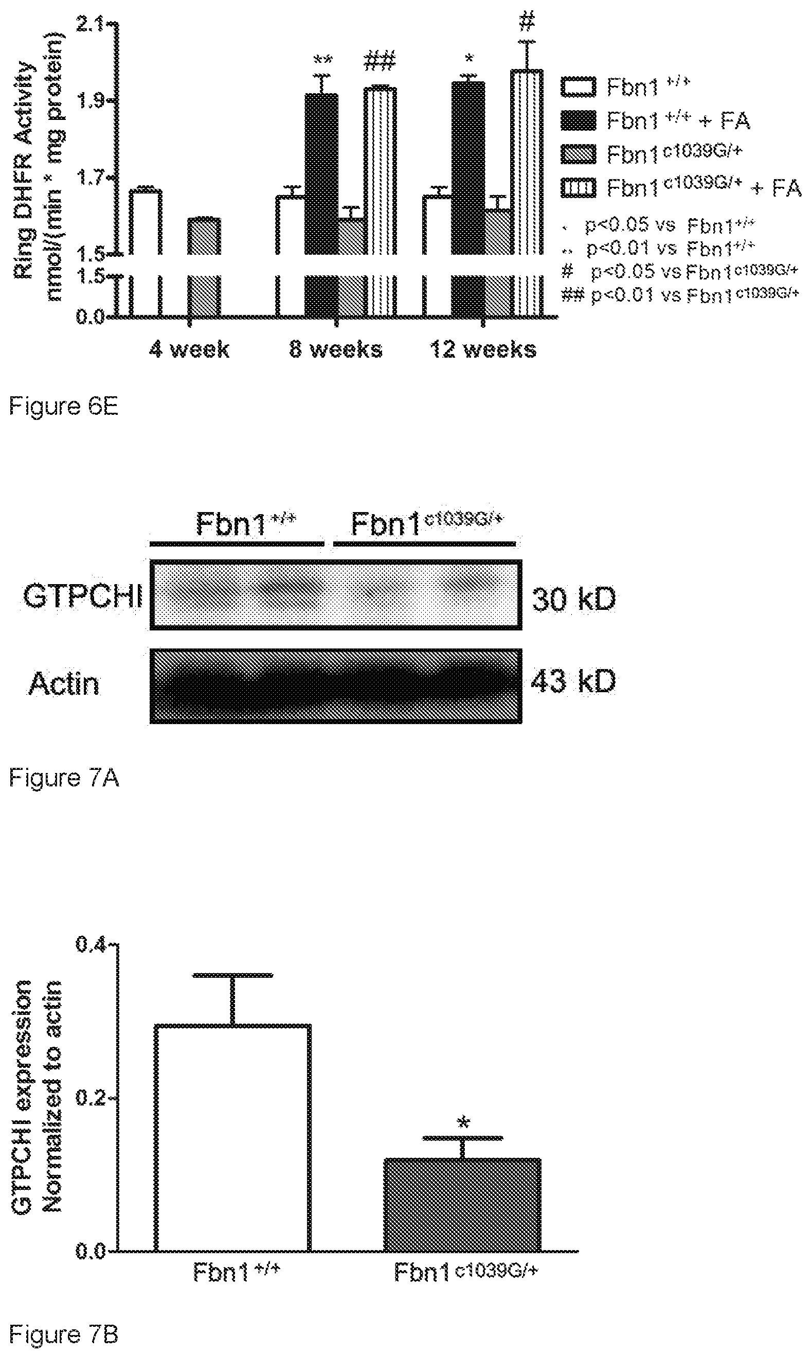 Patent US12313635 Figure 7 – Biomarker for thoracic aortic aneurysm