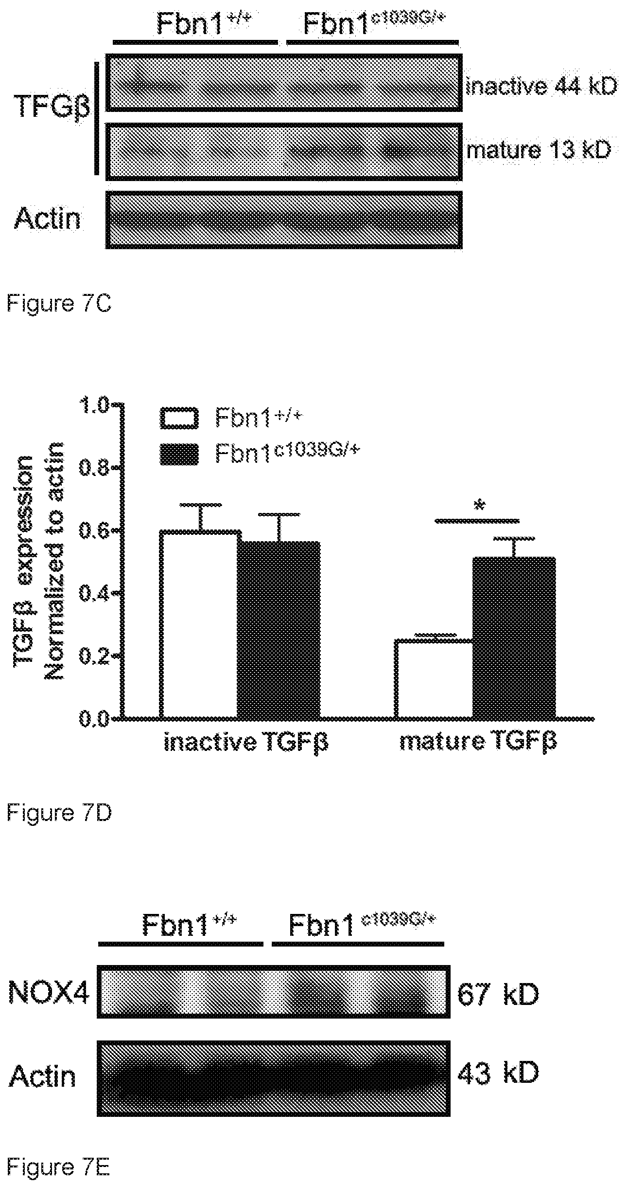 Patent US12313635 Figure 8 – Biomarker for thoracic aortic aneurysm