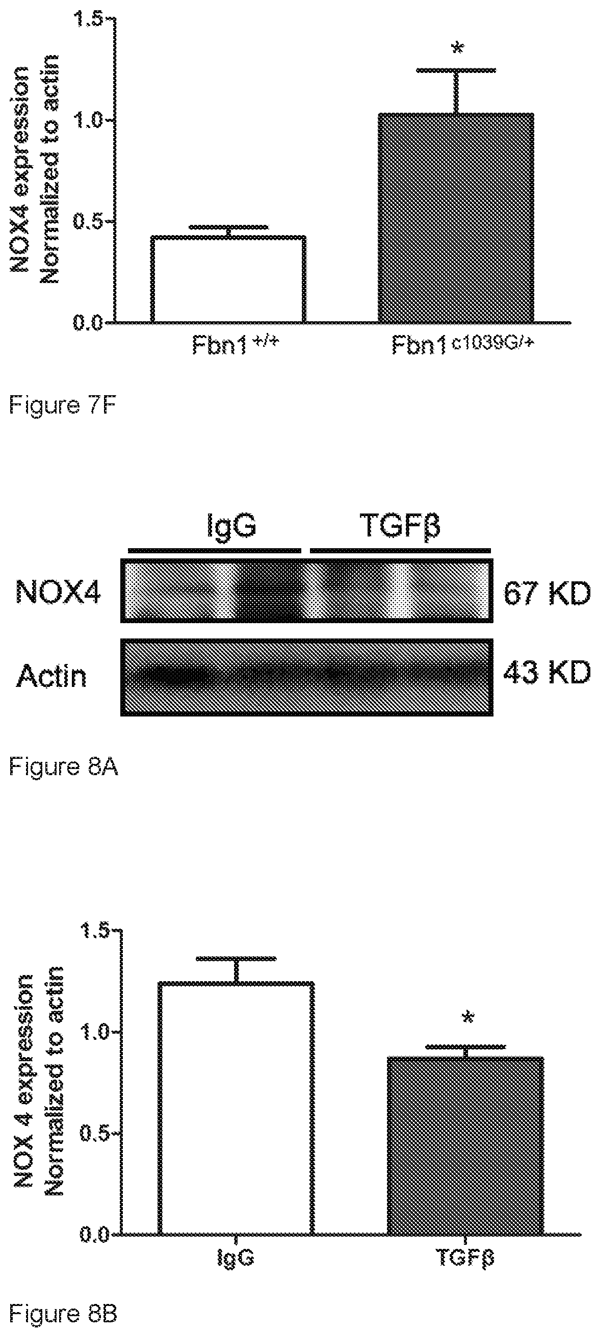 Patent US12313635 Figure 9 – Biomarker for thoracic aortic aneurysm