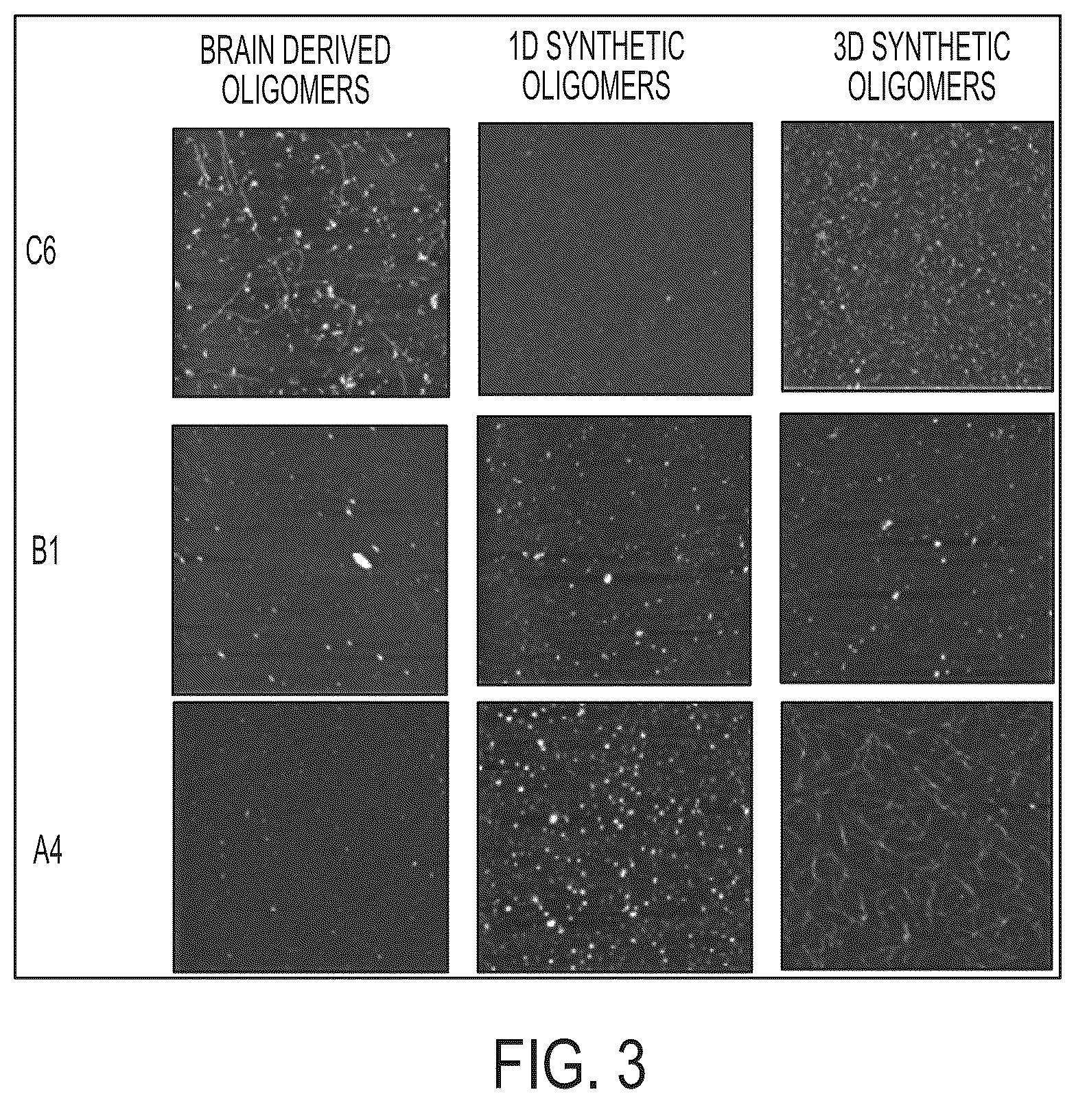 Patent US12313637 Figure 3 – Antibody based reagents that specifically recognize neurodegenerative disease related forms of the protein TDP-43