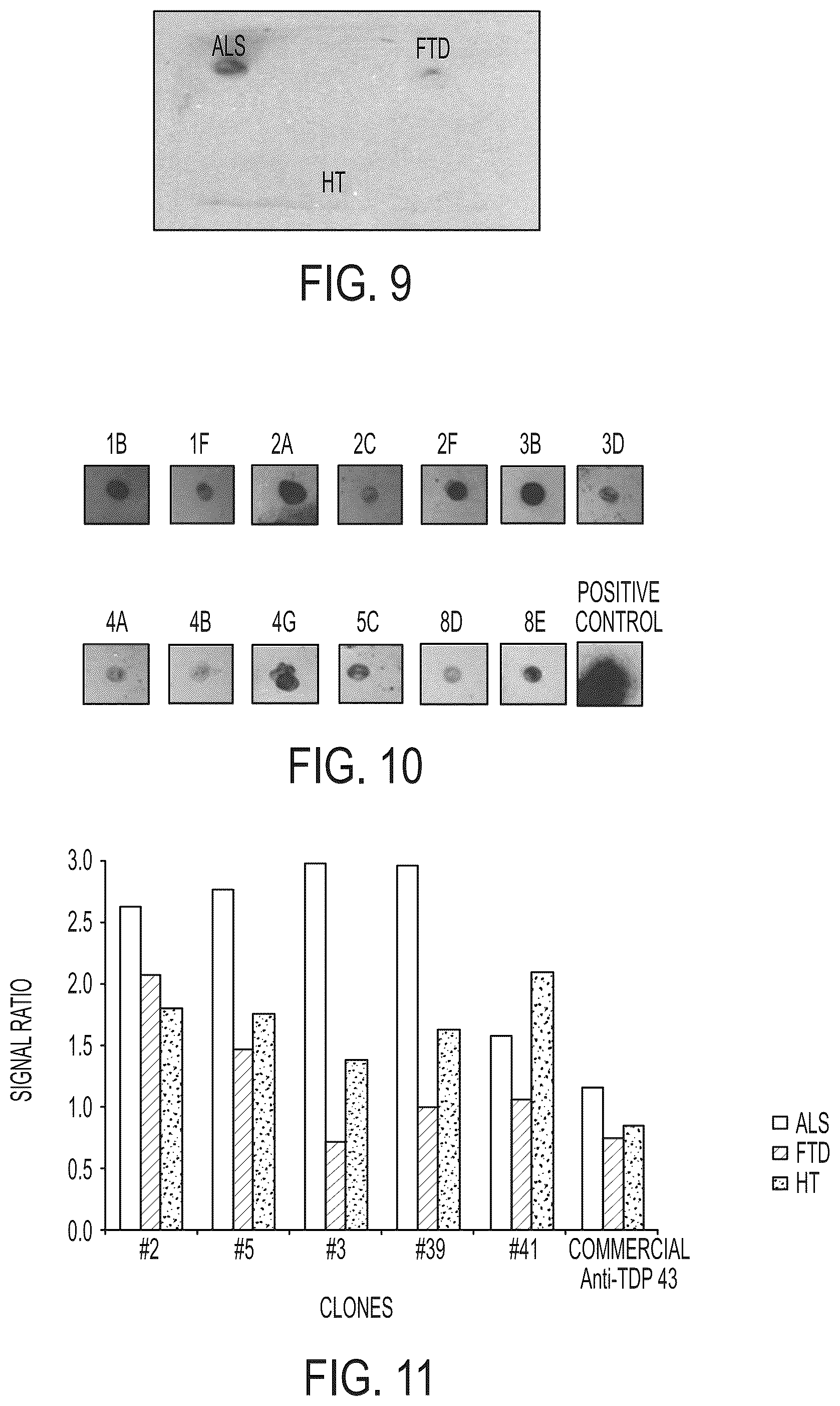 Patent US12313637 Figure 13 – Antibody based reagents that specifically recognize neurodegenerative disease related forms of the protein TDP-43