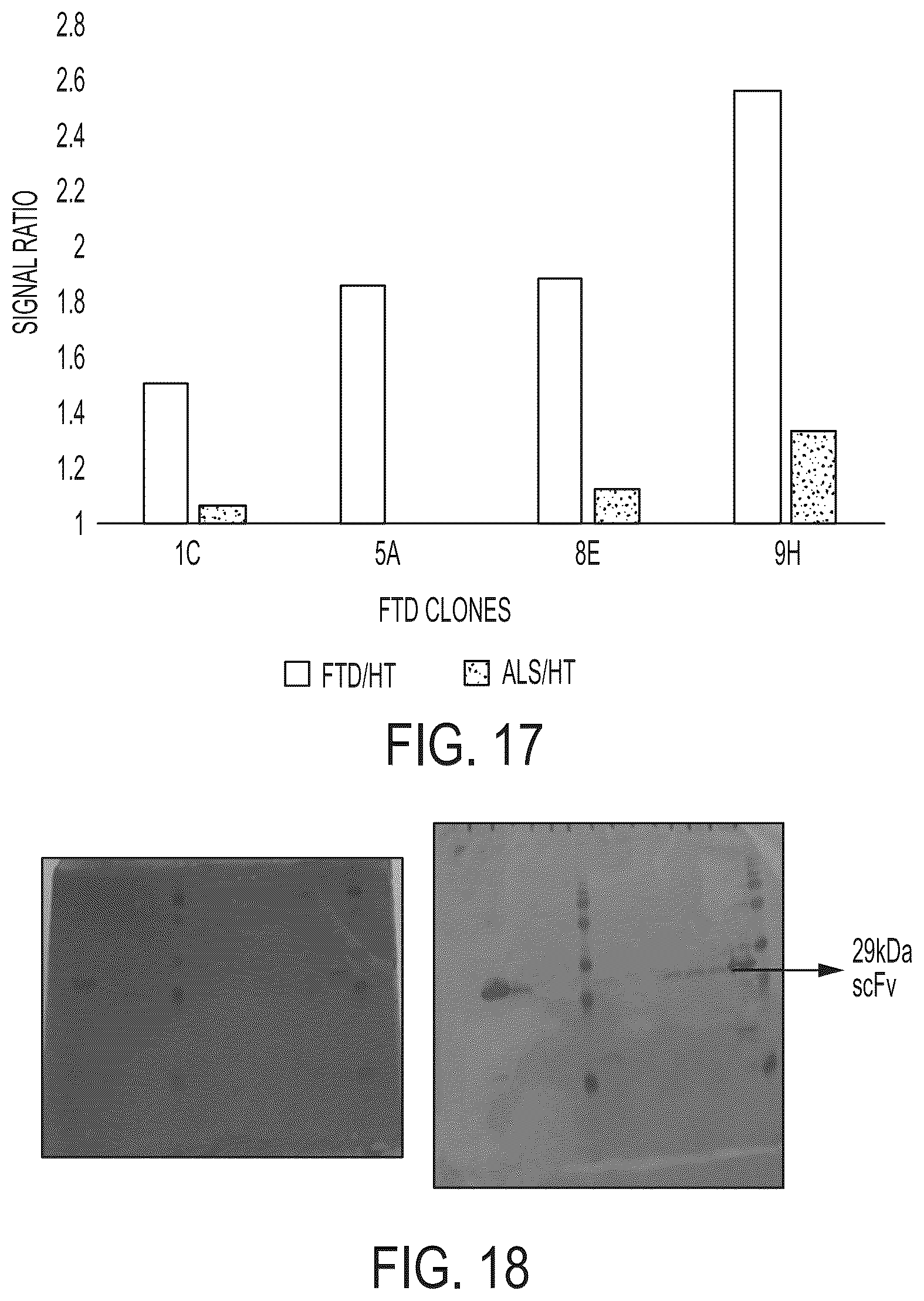 Patent US12313637 Figure 19 – Antibody based reagents that specifically recognize neurodegenerative disease related forms of the protein TDP-43