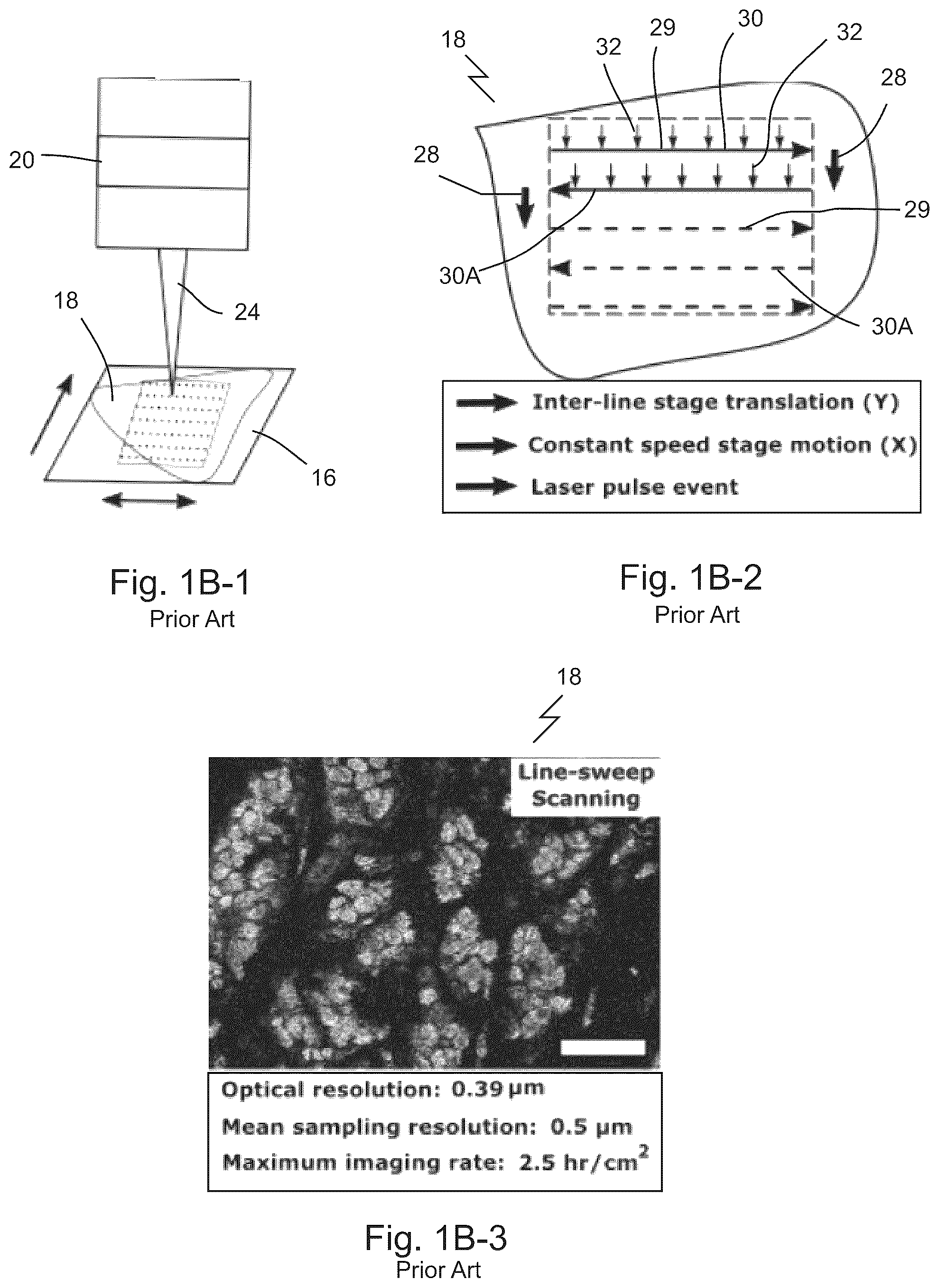 Patent US12313829 Figure 2 – Fast scanning microscope systems, and related optics and methods
