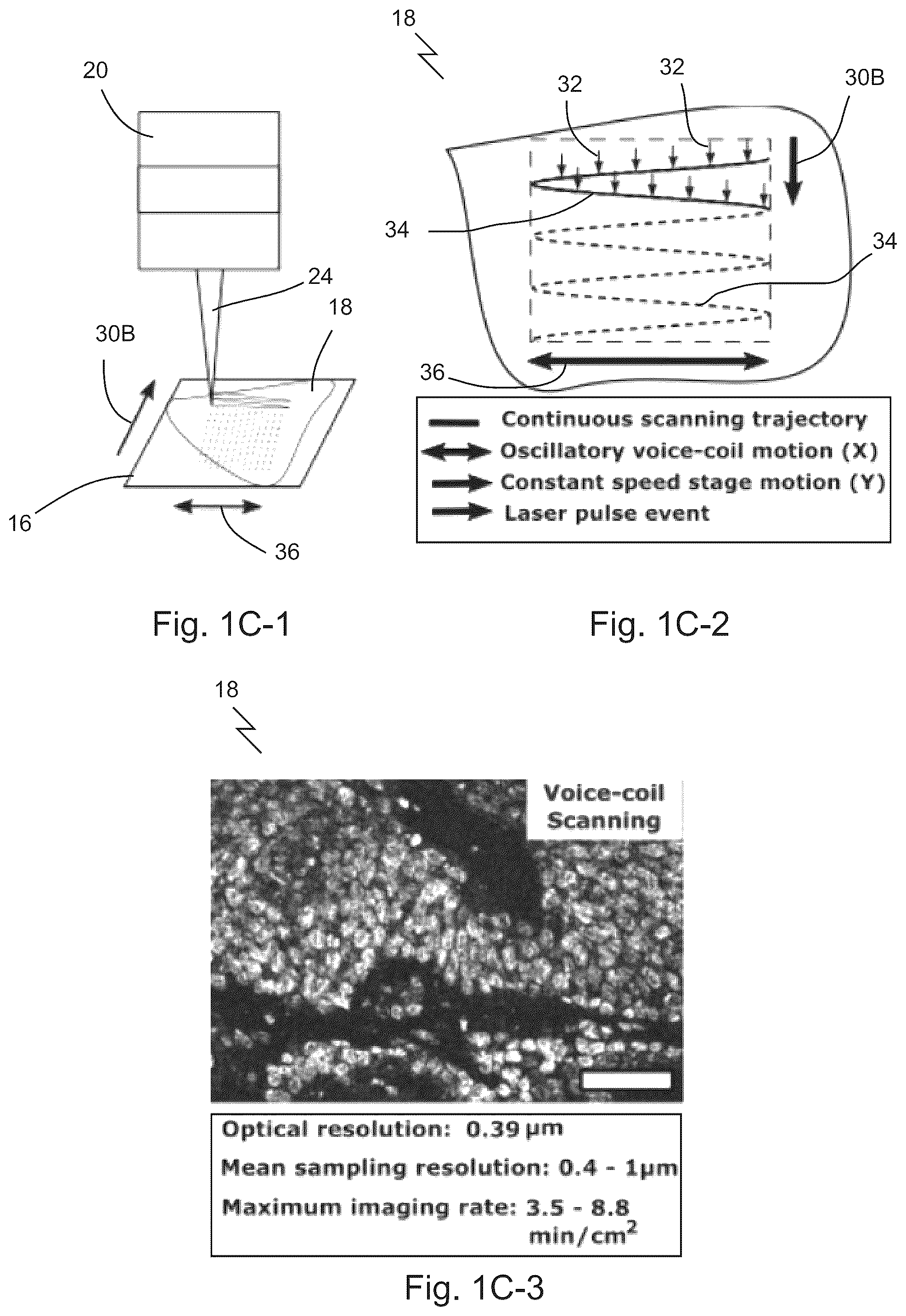Patent US12313829 Figure 3 – Fast scanning microscope systems, and related optics and methods