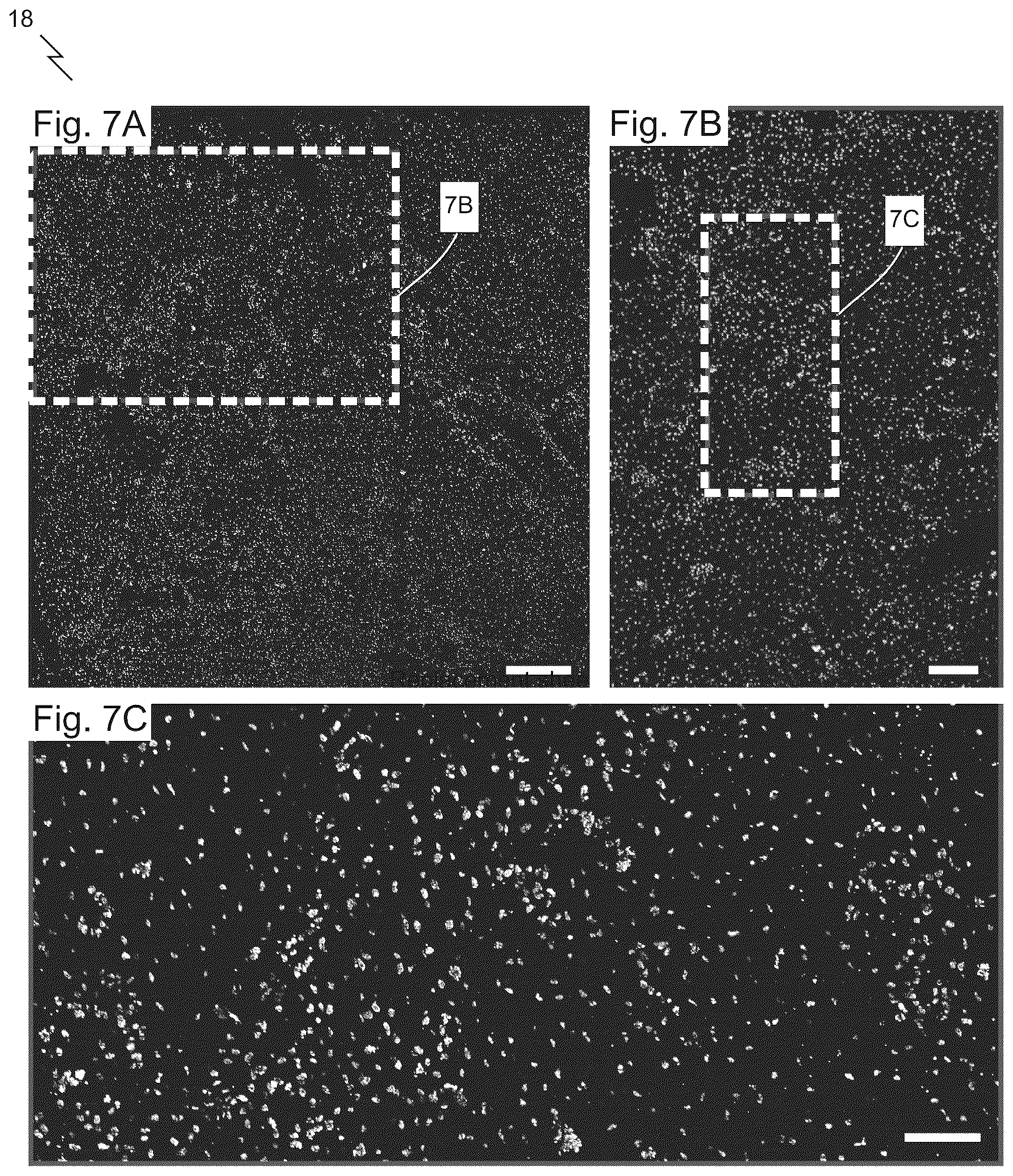 Patent US12313829 Figure 9 – Fast scanning microscope systems, and related optics and methods