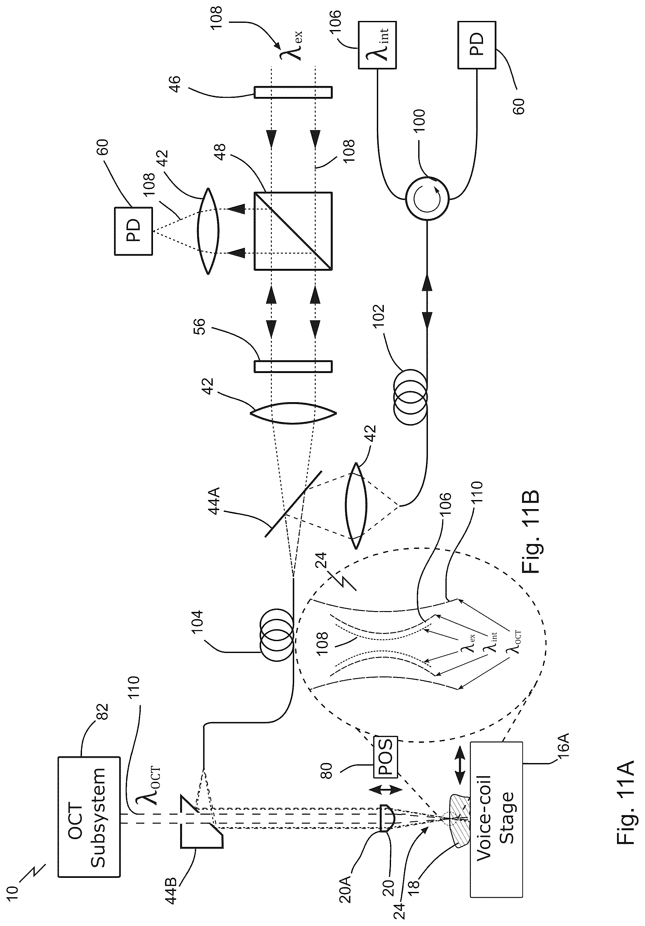 Patent US12313829 Figure 13 – Fast scanning microscope systems, and related optics and methods