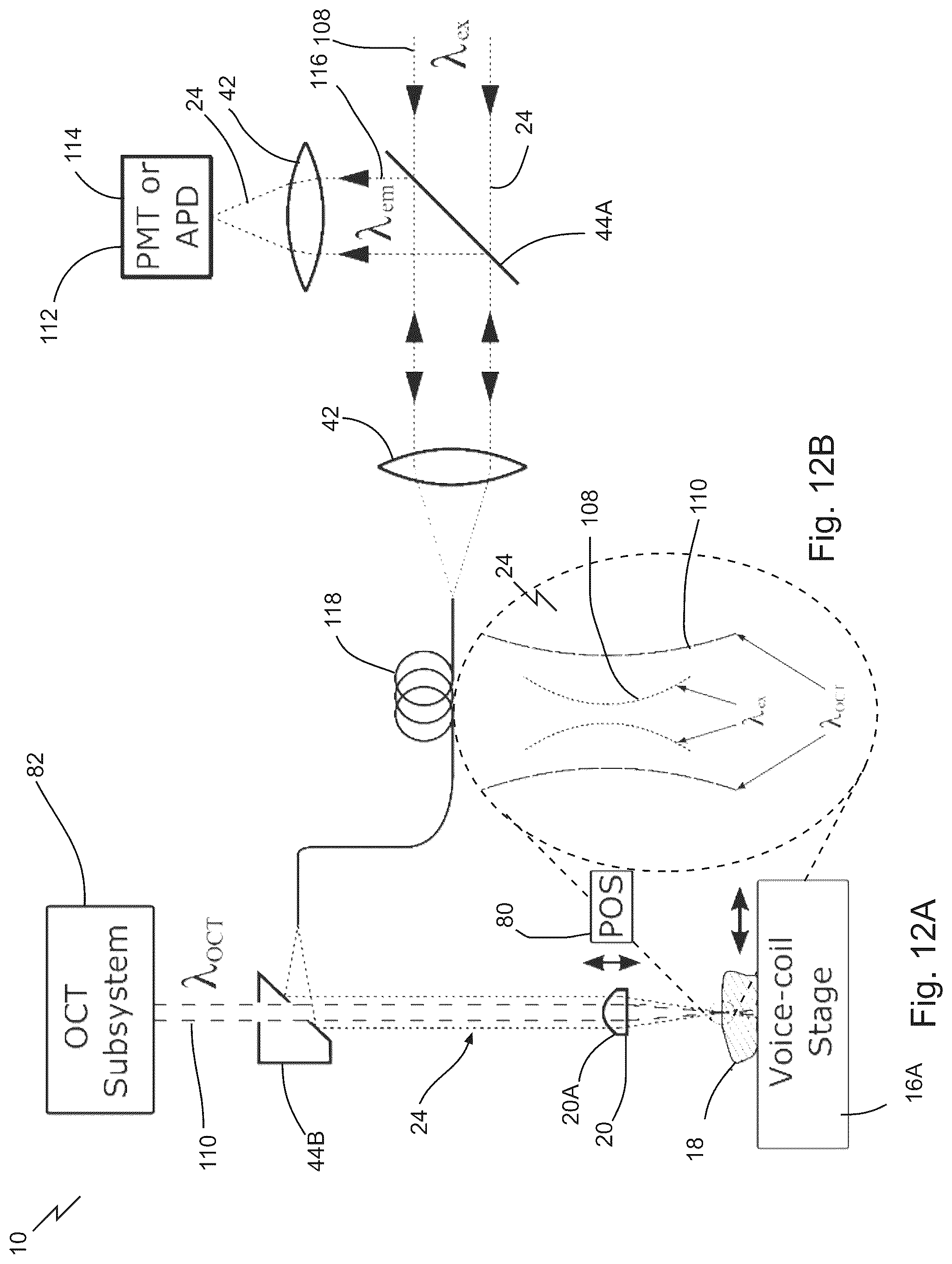 Patent US12313829 Figure 14 – Fast scanning microscope systems, and related optics and methods