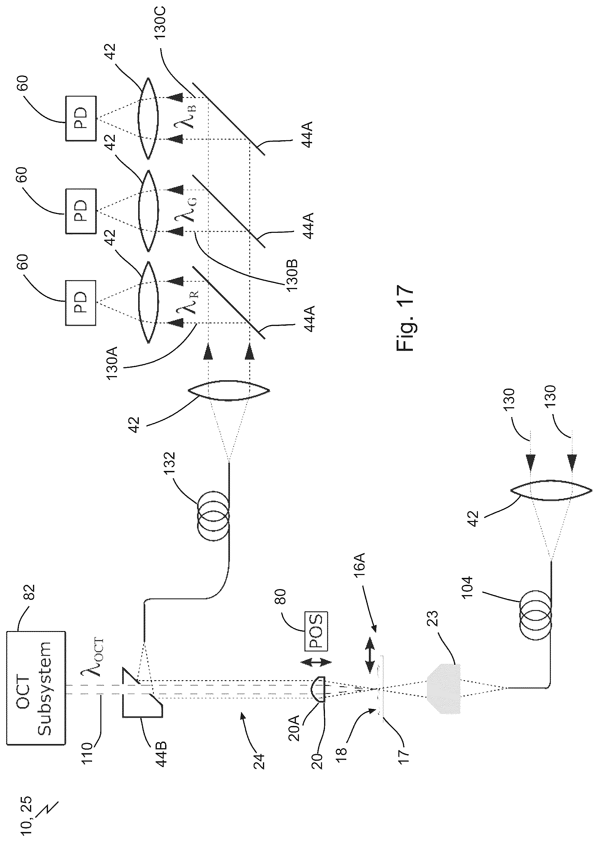 Patent US12313829 Figure 19 – Fast scanning microscope systems, and related optics and methods