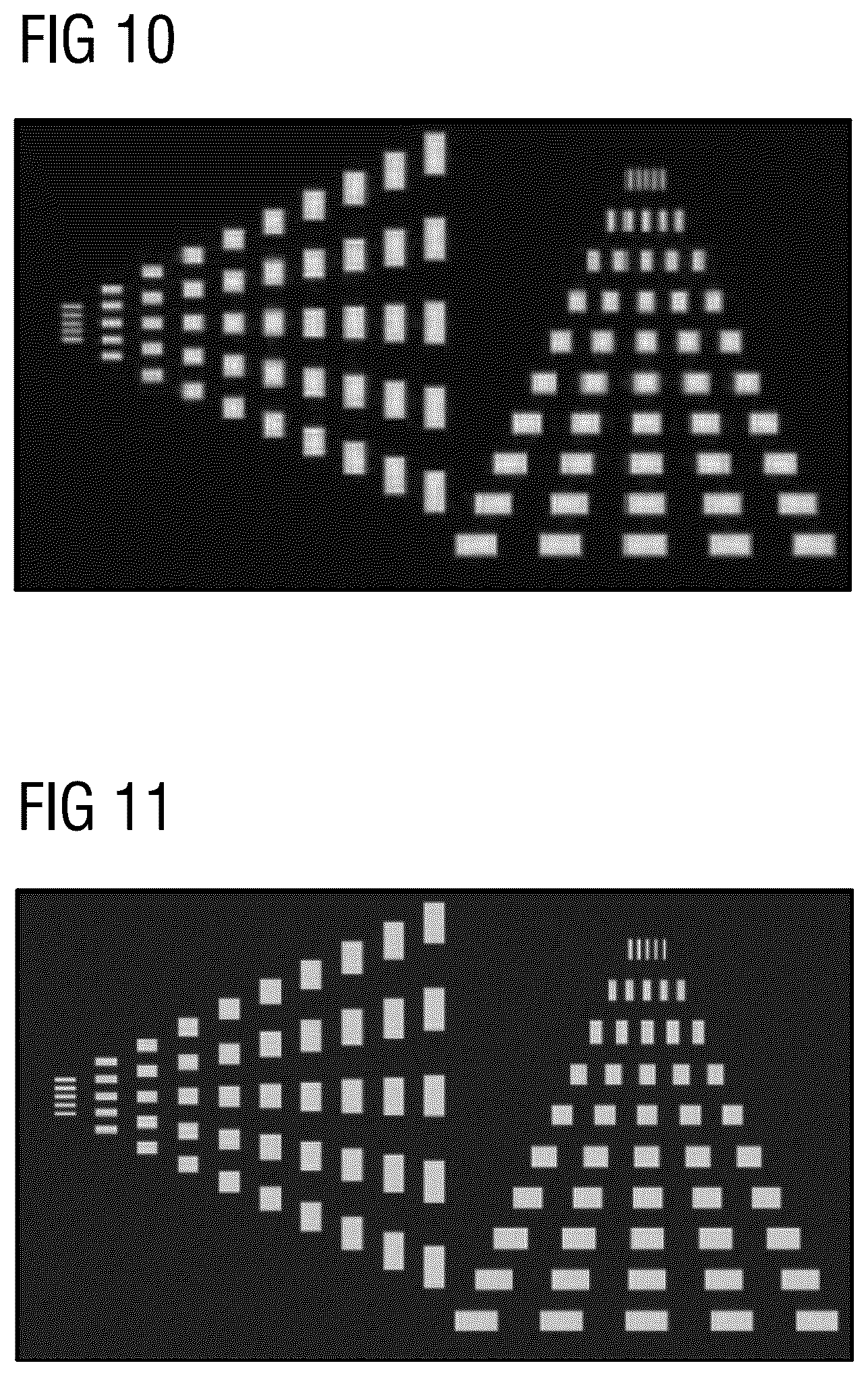 Patent US12313831 Figure 5 – Ptychographic imaging system and method for generating images