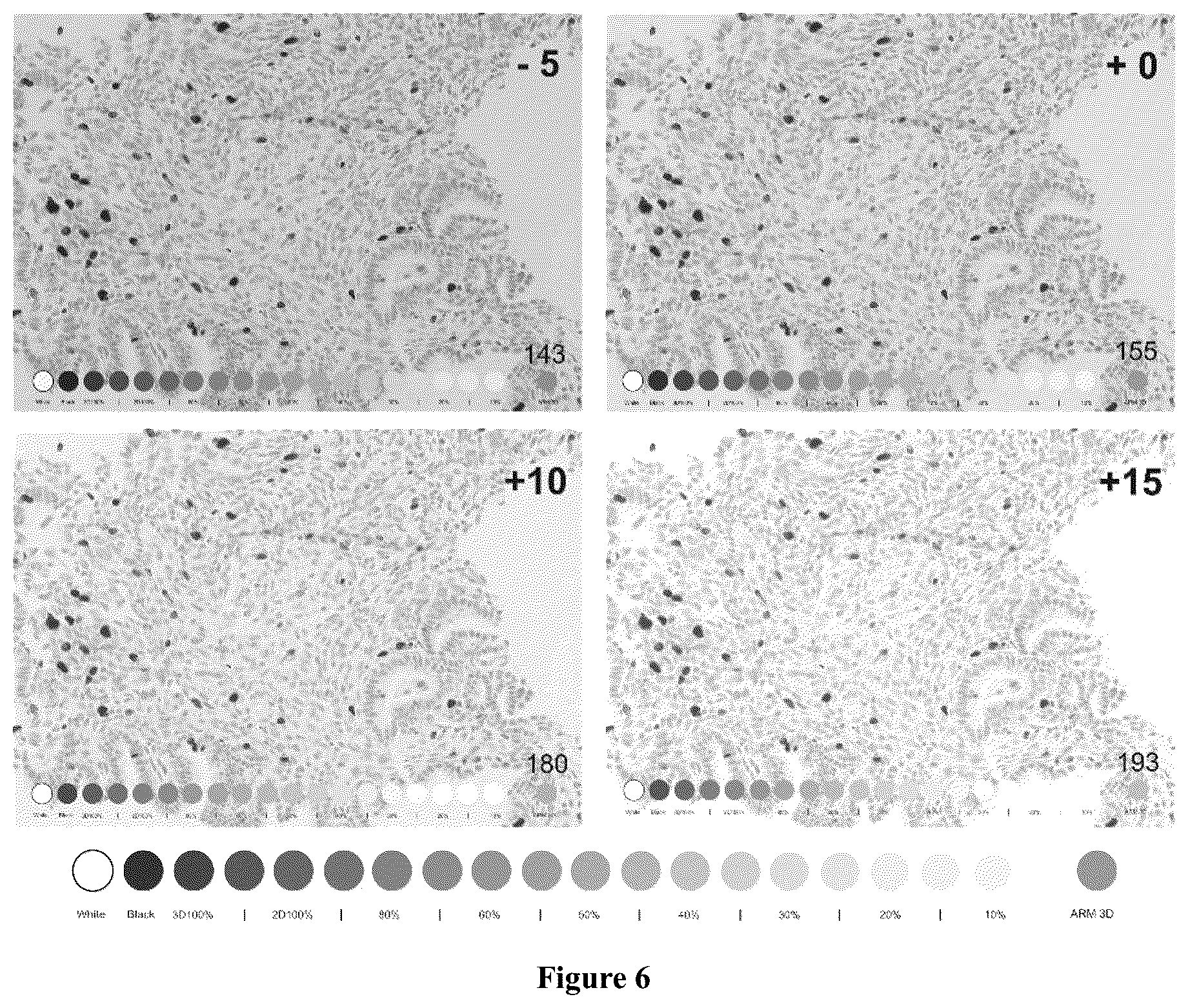 Patent US12313834 Figure 4 – Paraffin shield coating for microscope slide