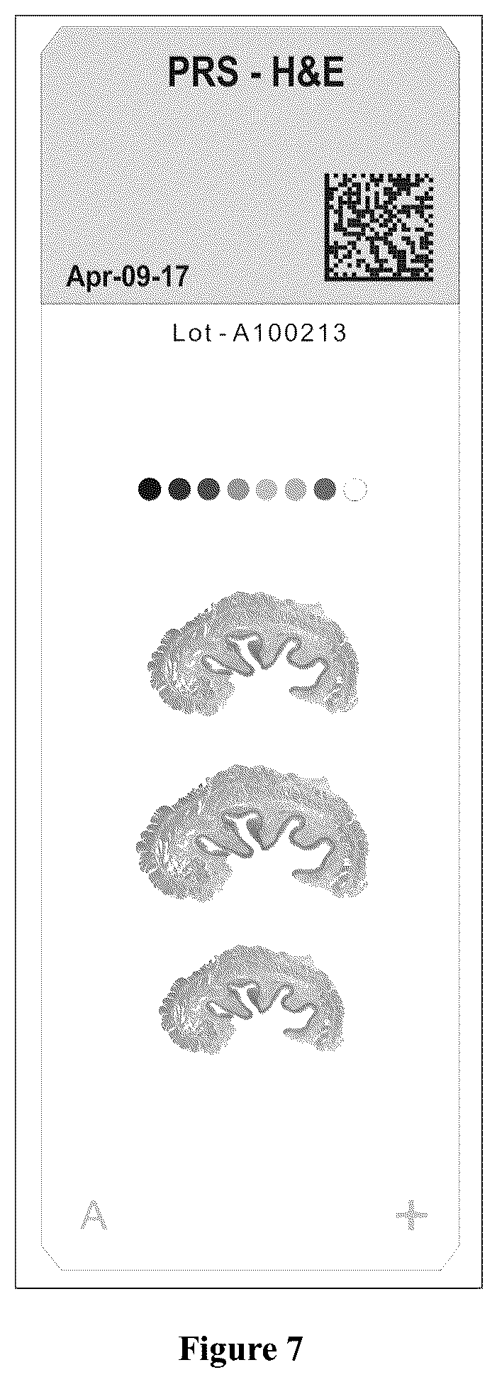 Patent US12313834 Figure 5 – Paraffin shield coating for microscope slide