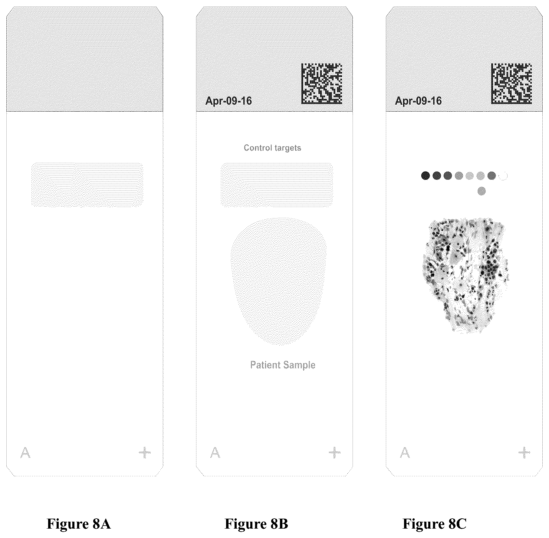 Patent US12313834 Figure 6 – Paraffin shield coating for microscope slide