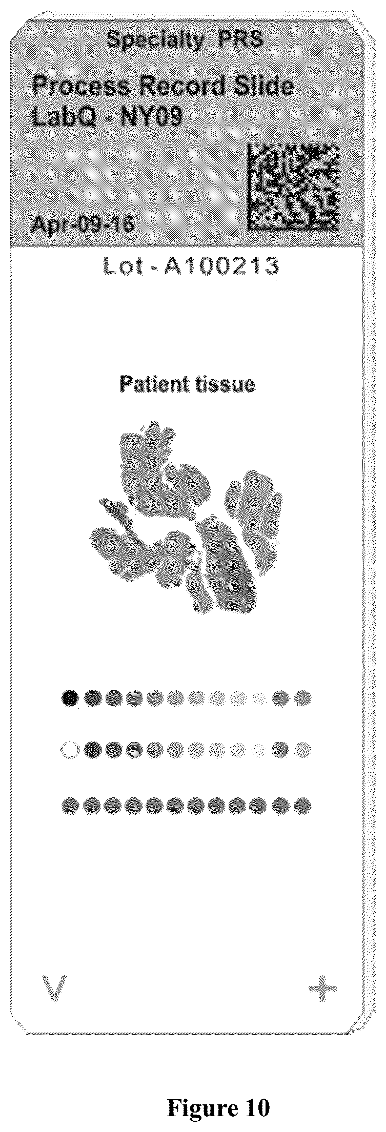 Patent US12313834 Figure 8 – Paraffin shield coating for microscope slide
