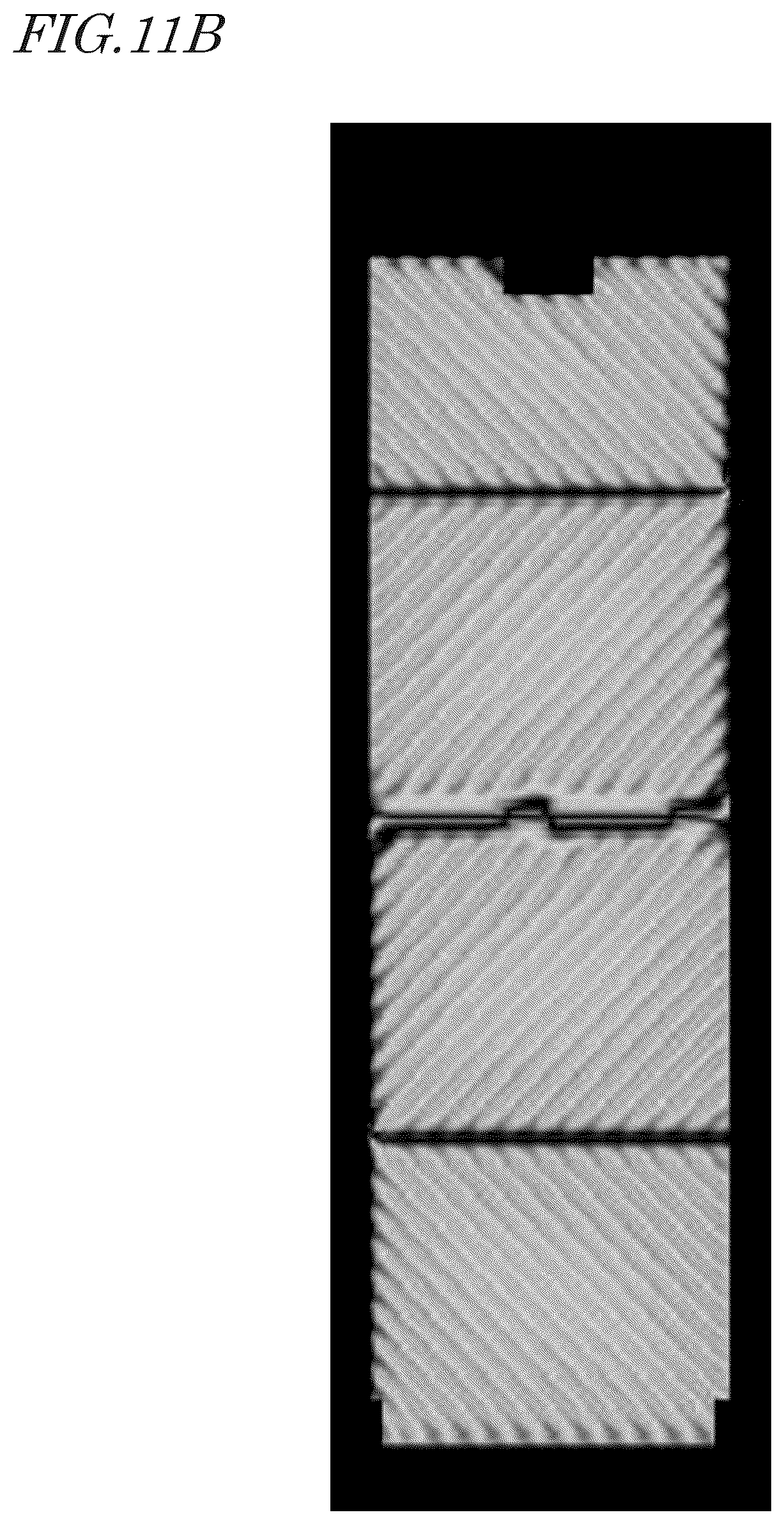 Patent US12313939 Figure 14 – Liquid crystal display apparatus