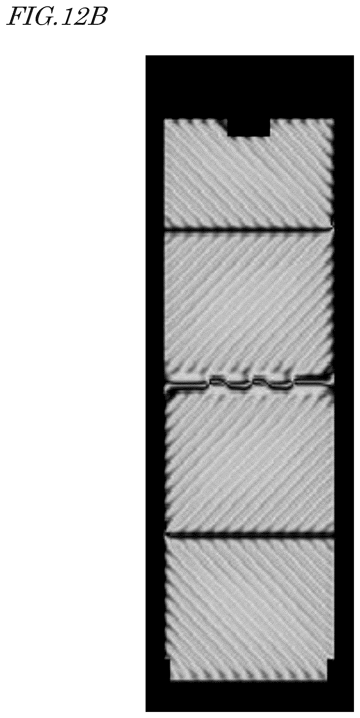 Patent US12313939 Figure 16 – Liquid crystal display apparatus
