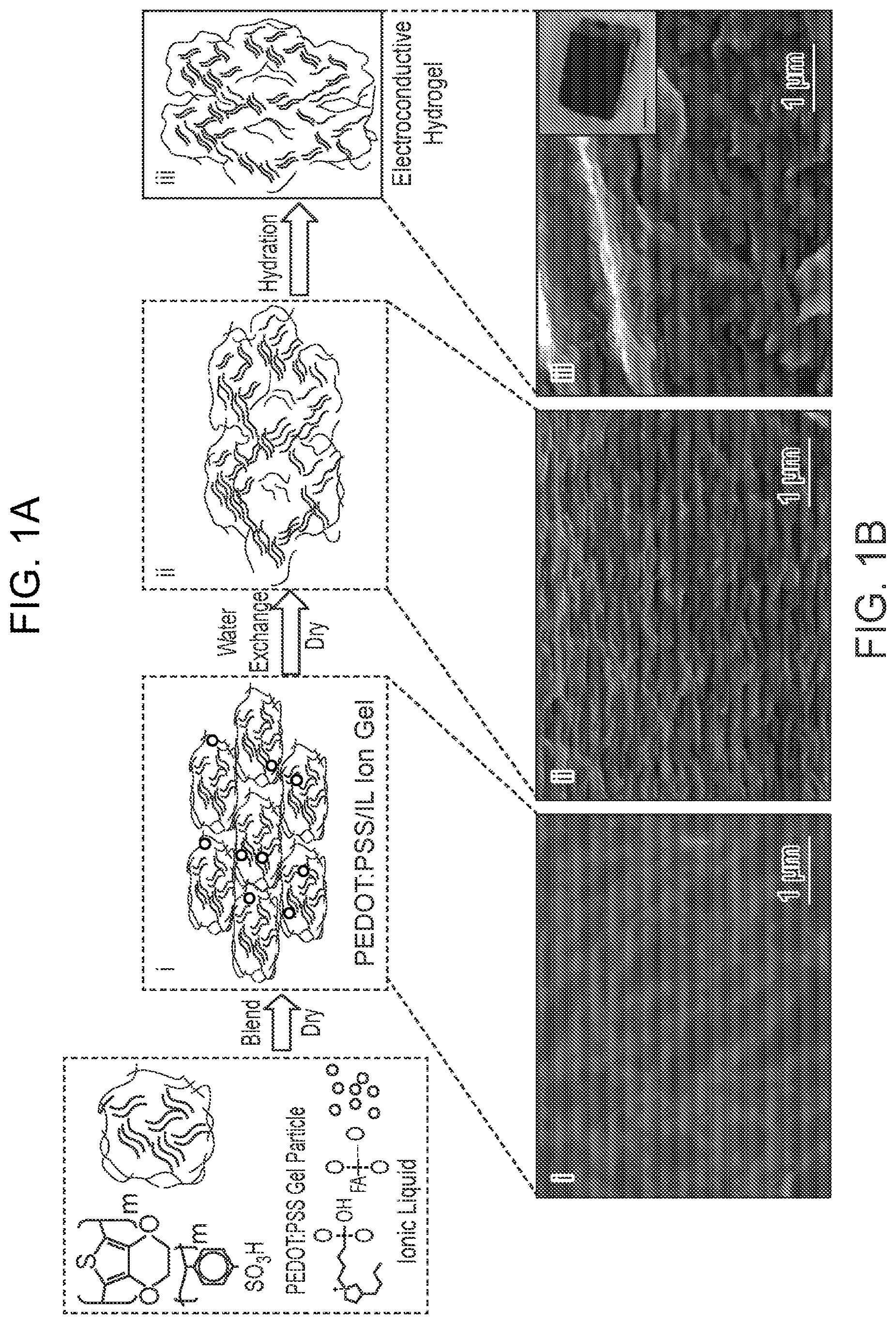 Patent US12313969 Figure 1 – Lithographically patterned electrically conductive hydrogels, photo-curable compositions, and elastomers formed from such compositions