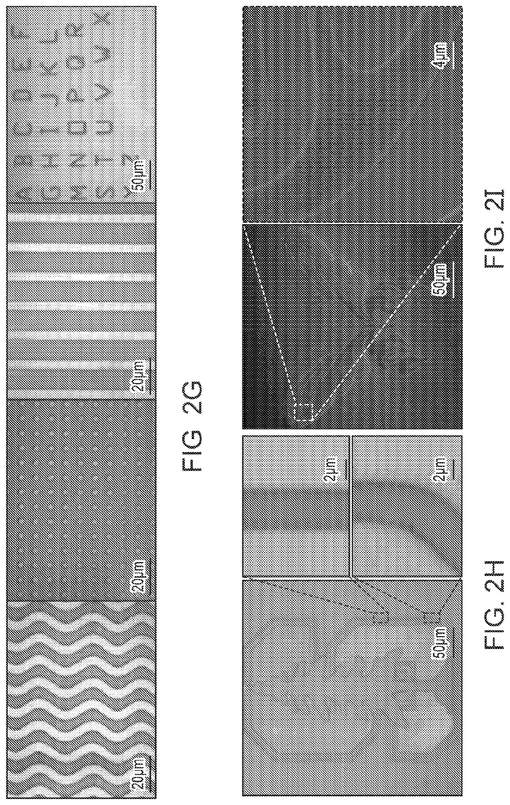 Patent US12313969 Figure 4 – Lithographically patterned electrically conductive hydrogels, photo-curable compositions, and elastomers formed from such compositions