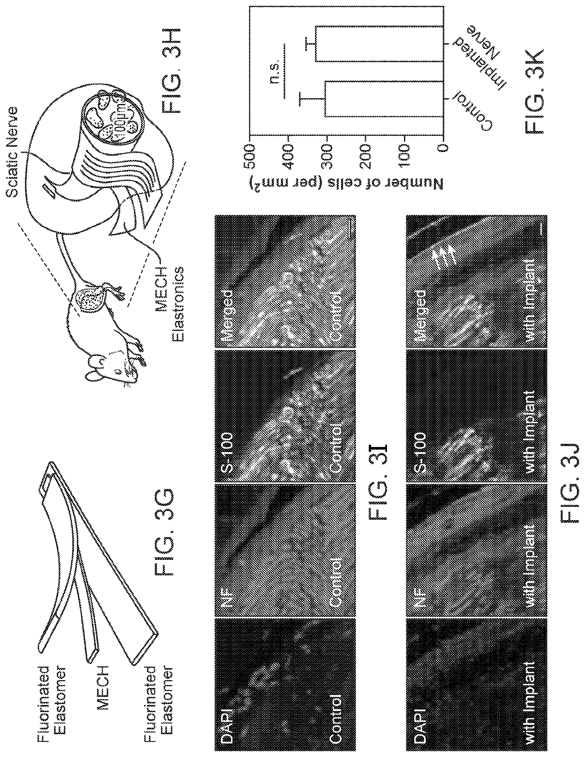 Patent US12313969 Figure 7 – Lithographically patterned electrically conductive hydrogels, photo-curable compositions, and elastomers formed from such compositions