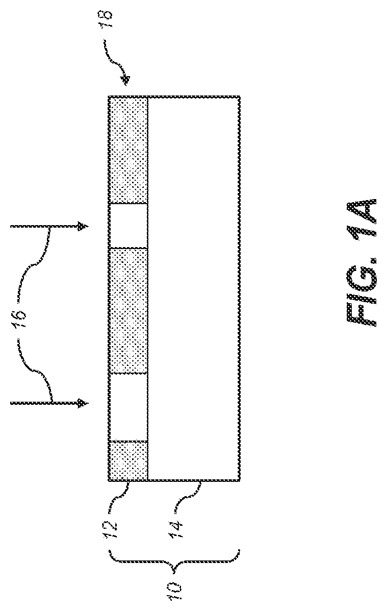Patent US12313975 — Reduced flow rate processing system for flexographic printing plate — Figure 1