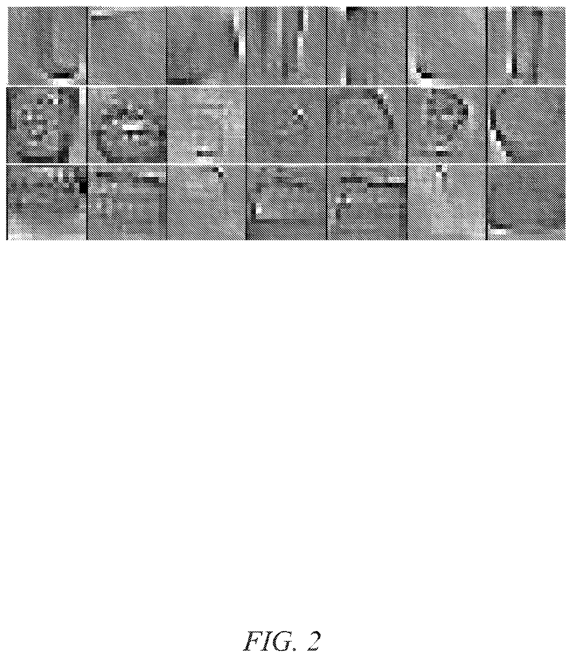 Patent US12314311 Figure 2 – Image-based popularity prediction