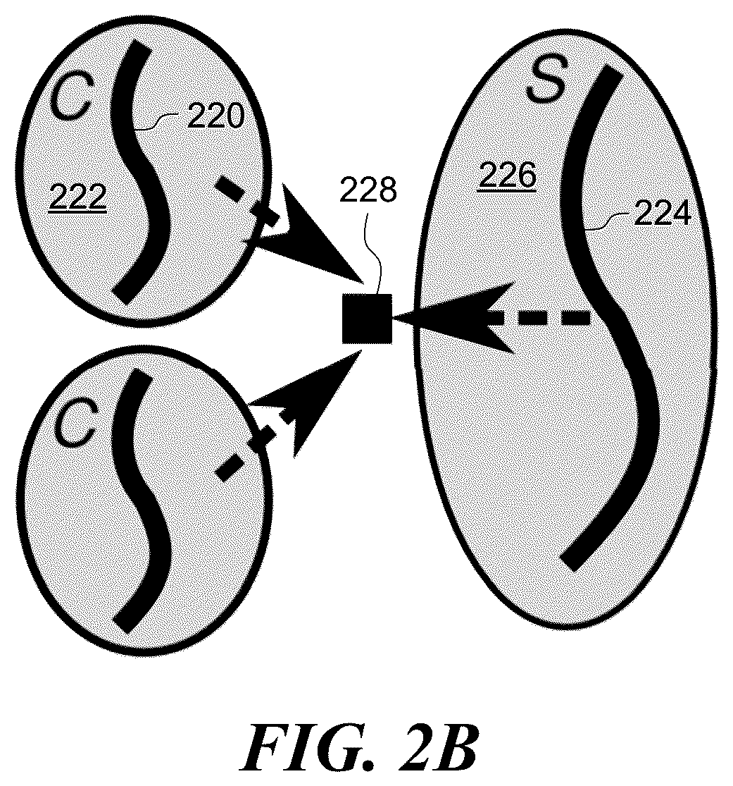 Patent US12314734 Figure 3 – Operating system service extensions for microkernels