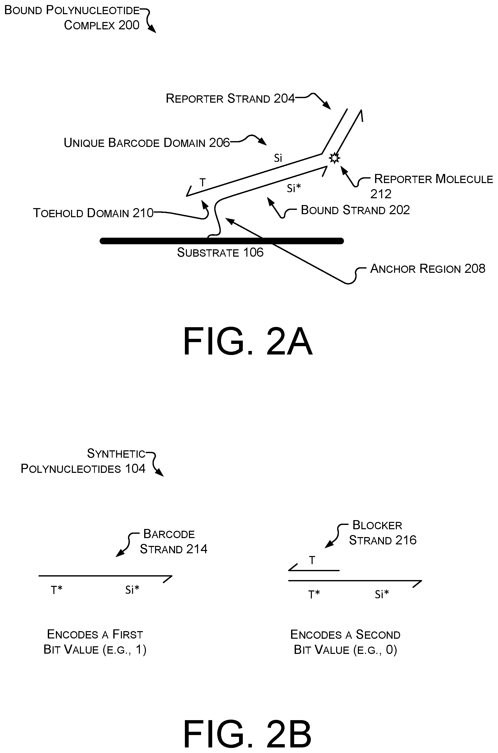 Patent US12314809 Figure 3 – Anti-counterfeit polynucleotide taggants