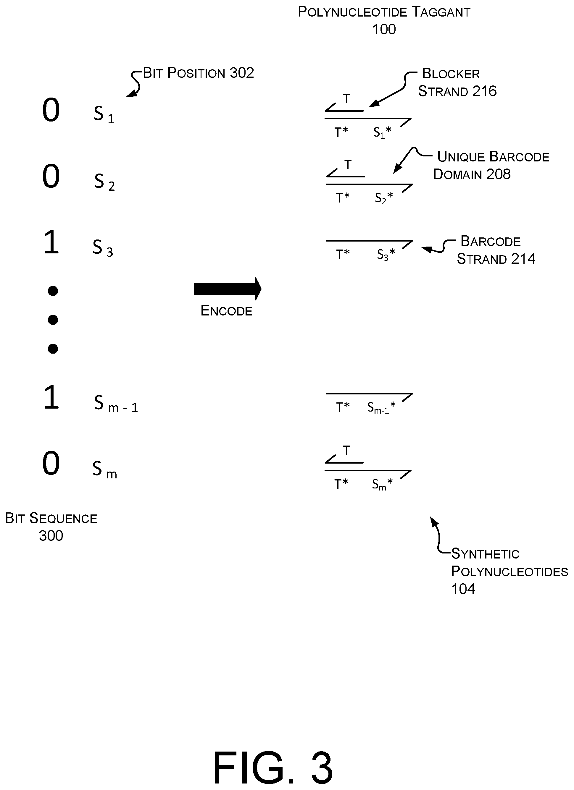 Patent US12314809 Figure 4 – Anti-counterfeit polynucleotide taggants