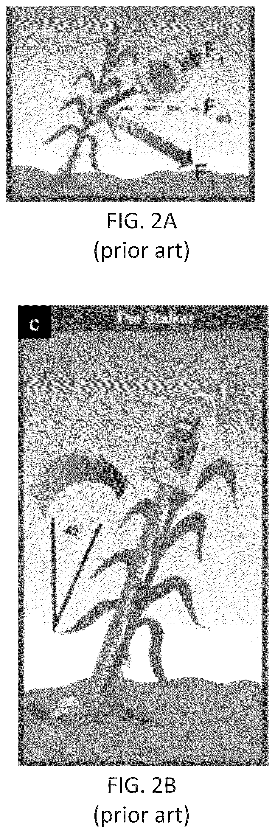 Patent US12314897 Figure 2 – Apparatus and method for high throughput measurement of lodging resistance in crops