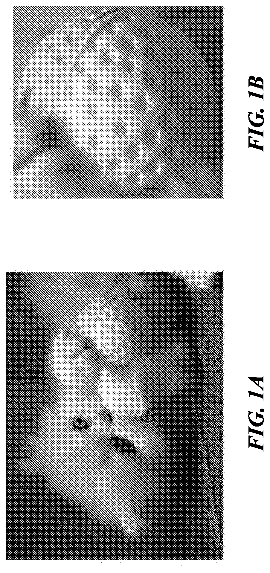 Patent US12315053 — Image classification through label progression — Figure 1