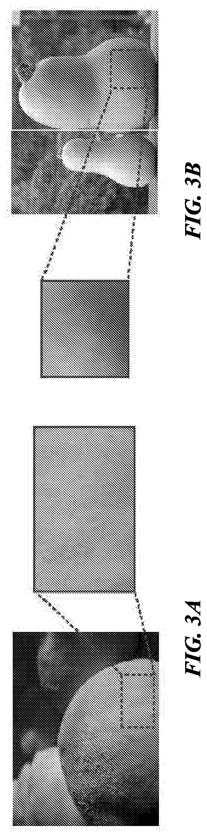 Patent US12315053 Figure 3 – Image classification through label progression