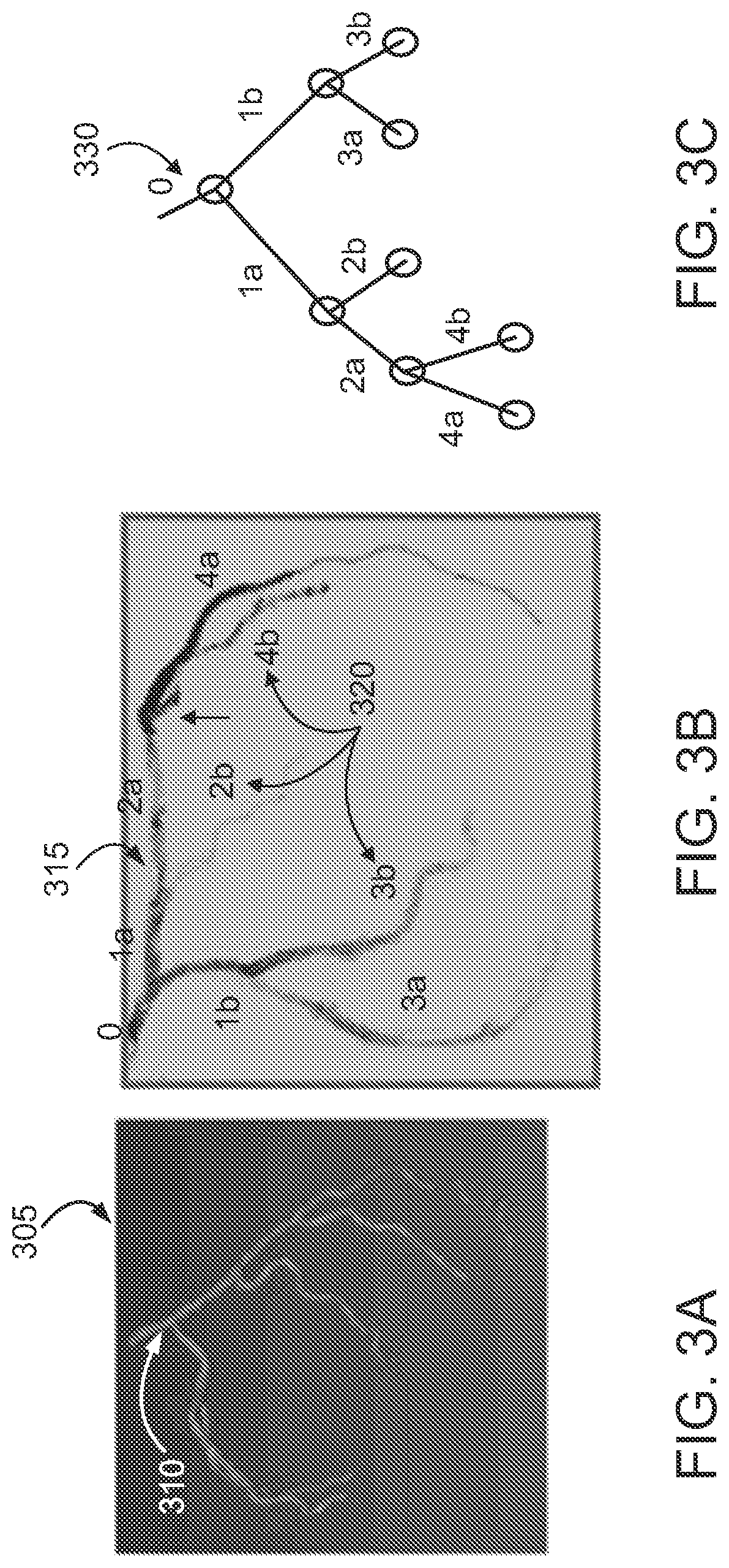 Patent US12315076 Figure 2 – Four-dimensional motion analysis of a patient's coronary arteries and myocardial wall