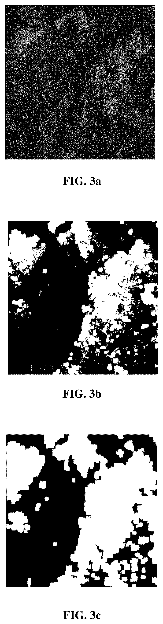 Patent US12315121 Figure 3 – Method and apparatus for patching cloud area of satellite image sequencing