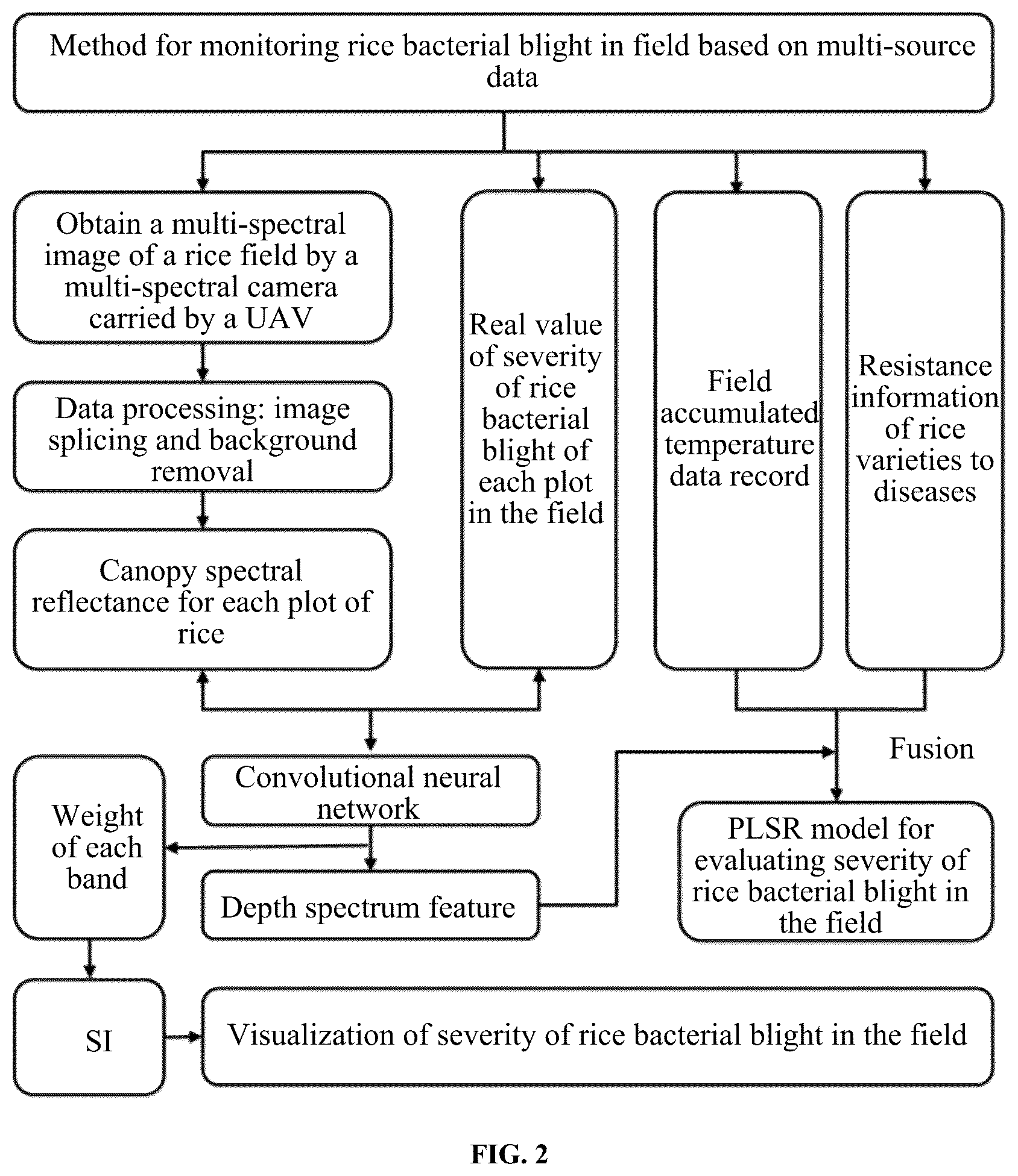 Patent US12315130 Figure 2 – Method and system for monitoring rice bacterial blight in field based on multi-source data