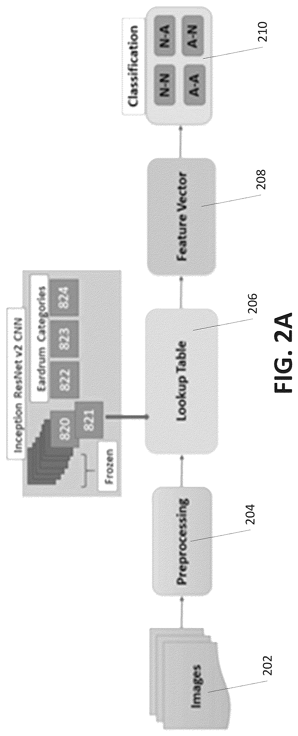 Patent US12315143 Figure 2 – System and method of using right and left eardrum otoscopy images for automated otoscopy image analysis to diagnose ear pathology