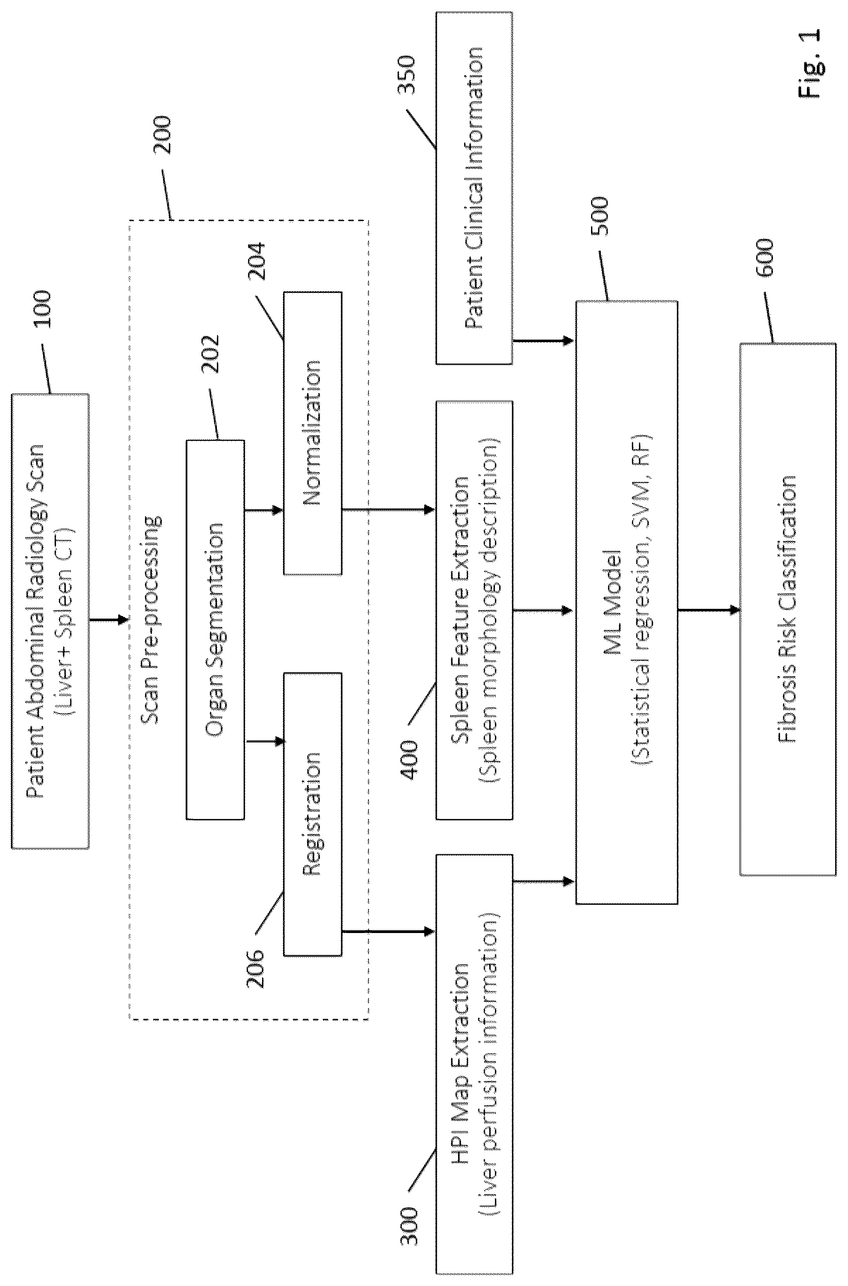 Patent US12315147 Figure 1 – Automated pattern recognition and scoring method of fibrosis from non invasive radiology imaging