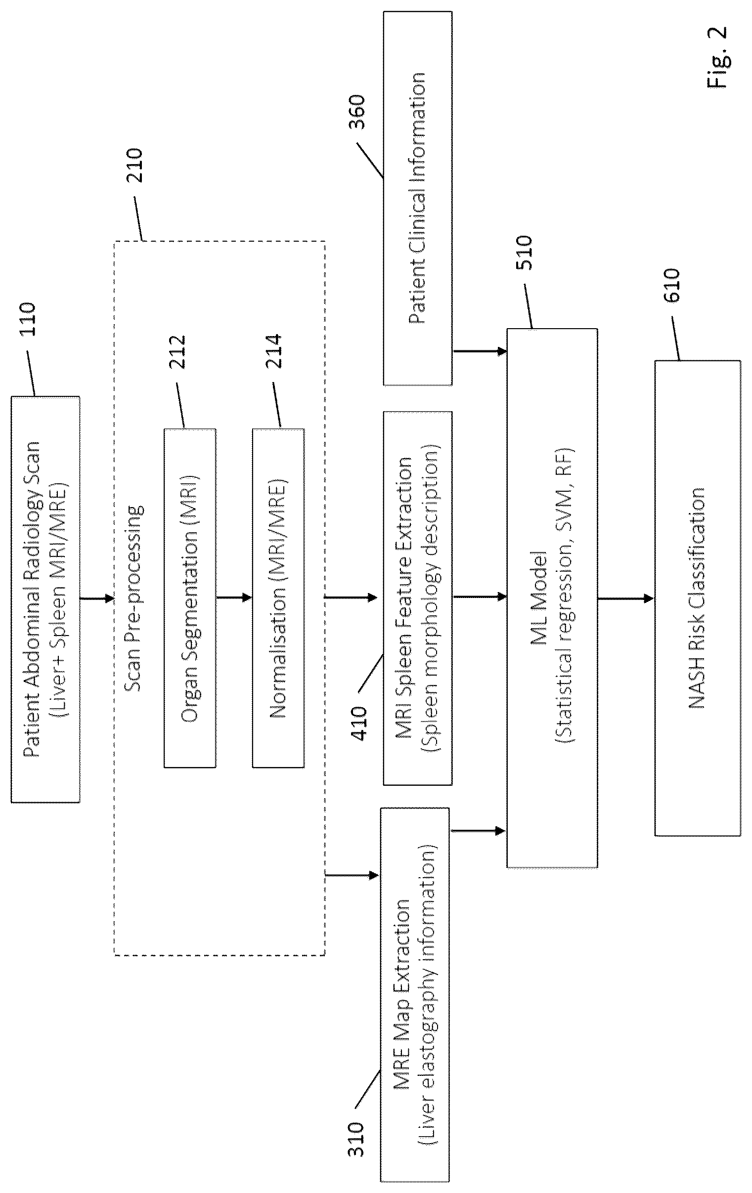 Patent US12315147 Figure 2 – Automated pattern recognition and scoring method of fibrosis from non invasive radiology imaging