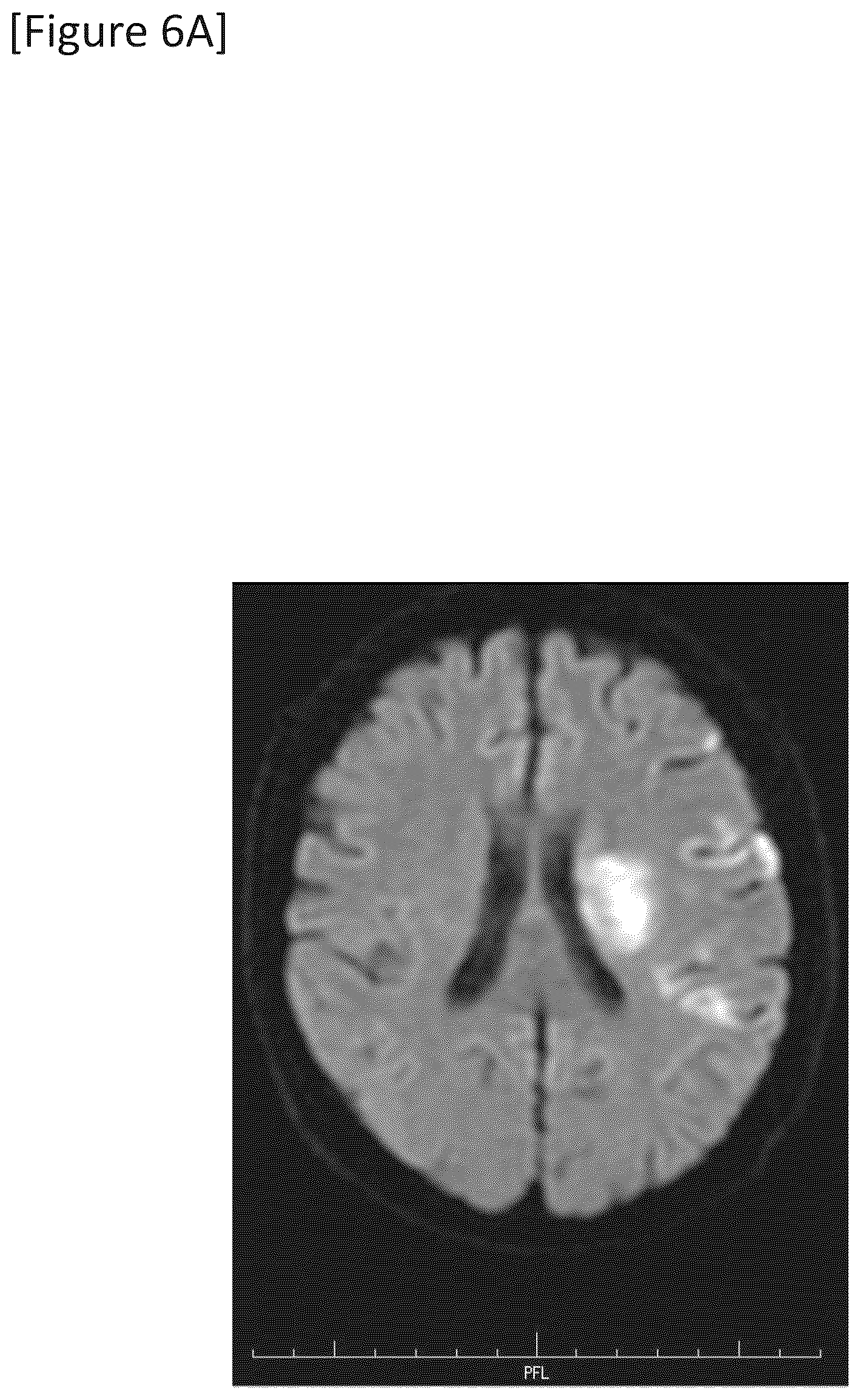 Patent US12315148 Figure 16 – Integrated system for safe intracranial administration of cells