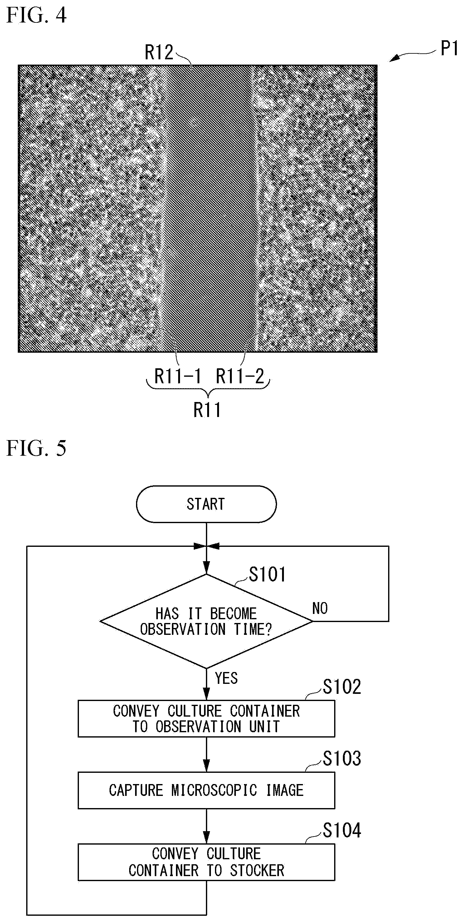 Patent US12315162 Figure 4 – Image analyzer, cell culture observation device, image analysis method, program, and data processing system