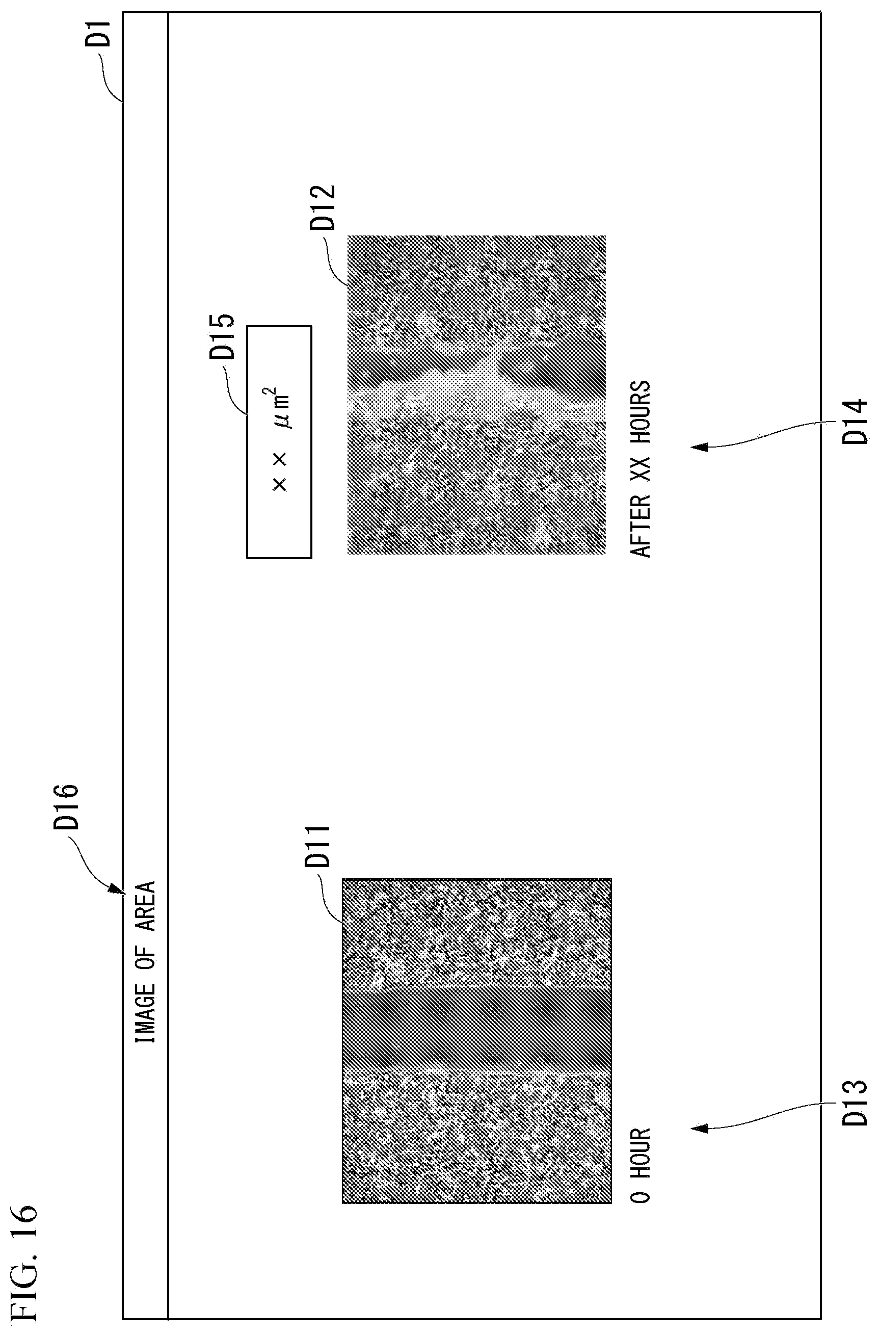 Patent US12315162 Figure 15 – Image analyzer, cell culture observation device, image analysis method, program, and data processing system