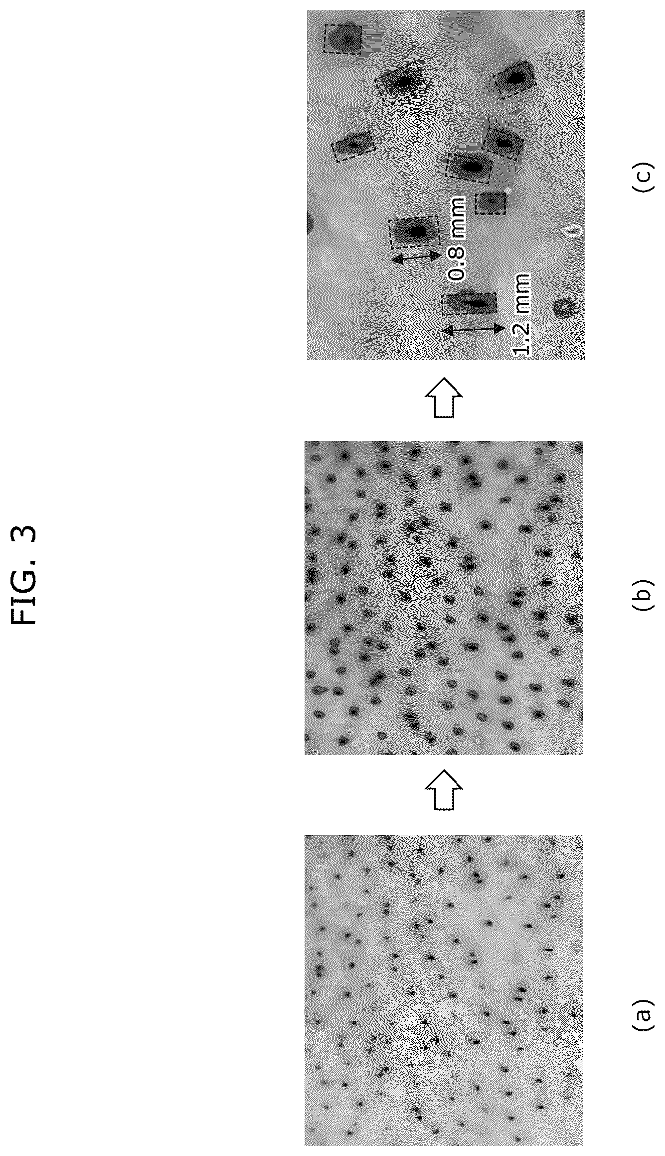 Patent US12315188 Figure 2 – Image processing device and image processing method