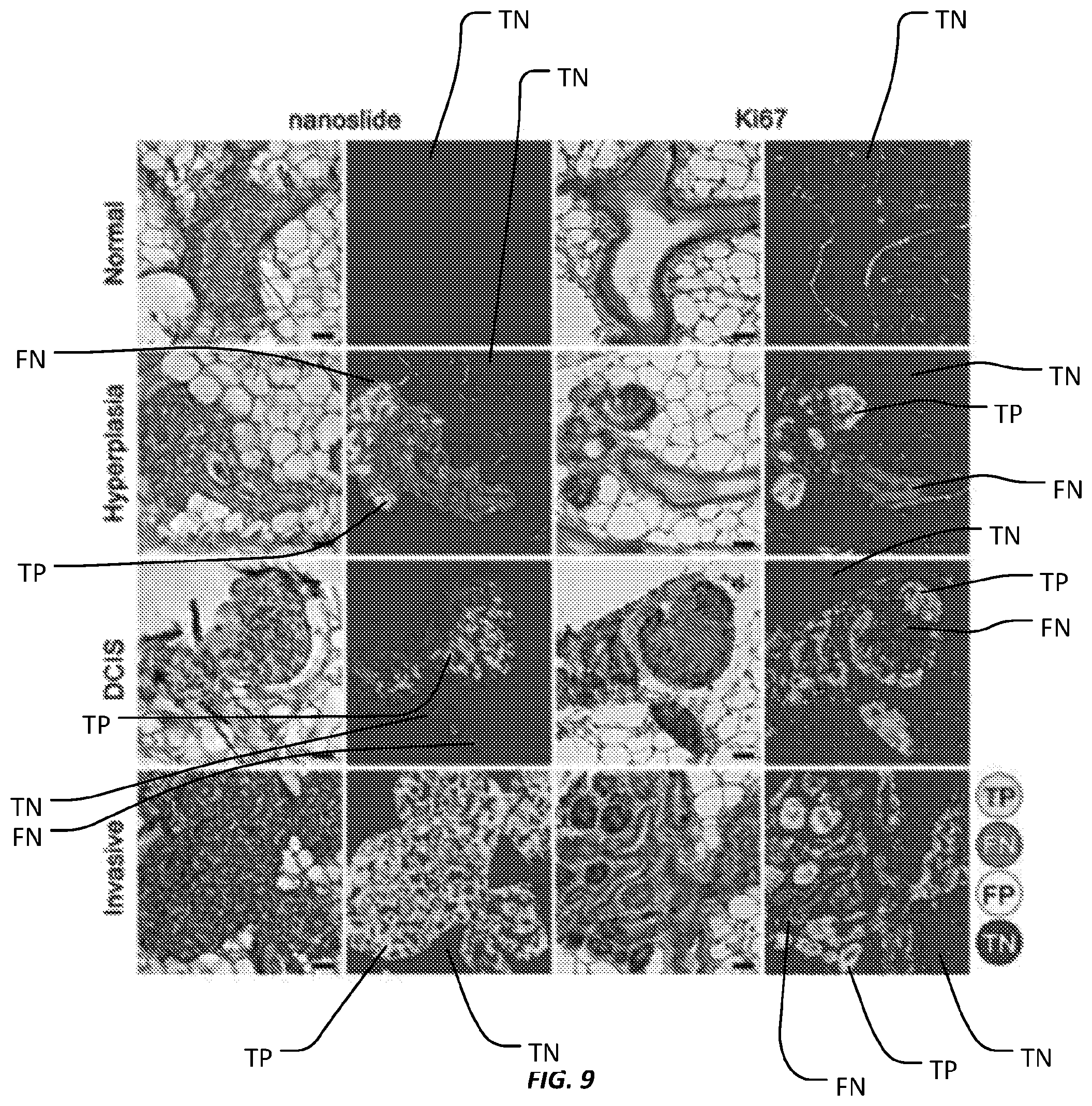 Patent US12315201 Figure 8 – Automated method of identifying a structure