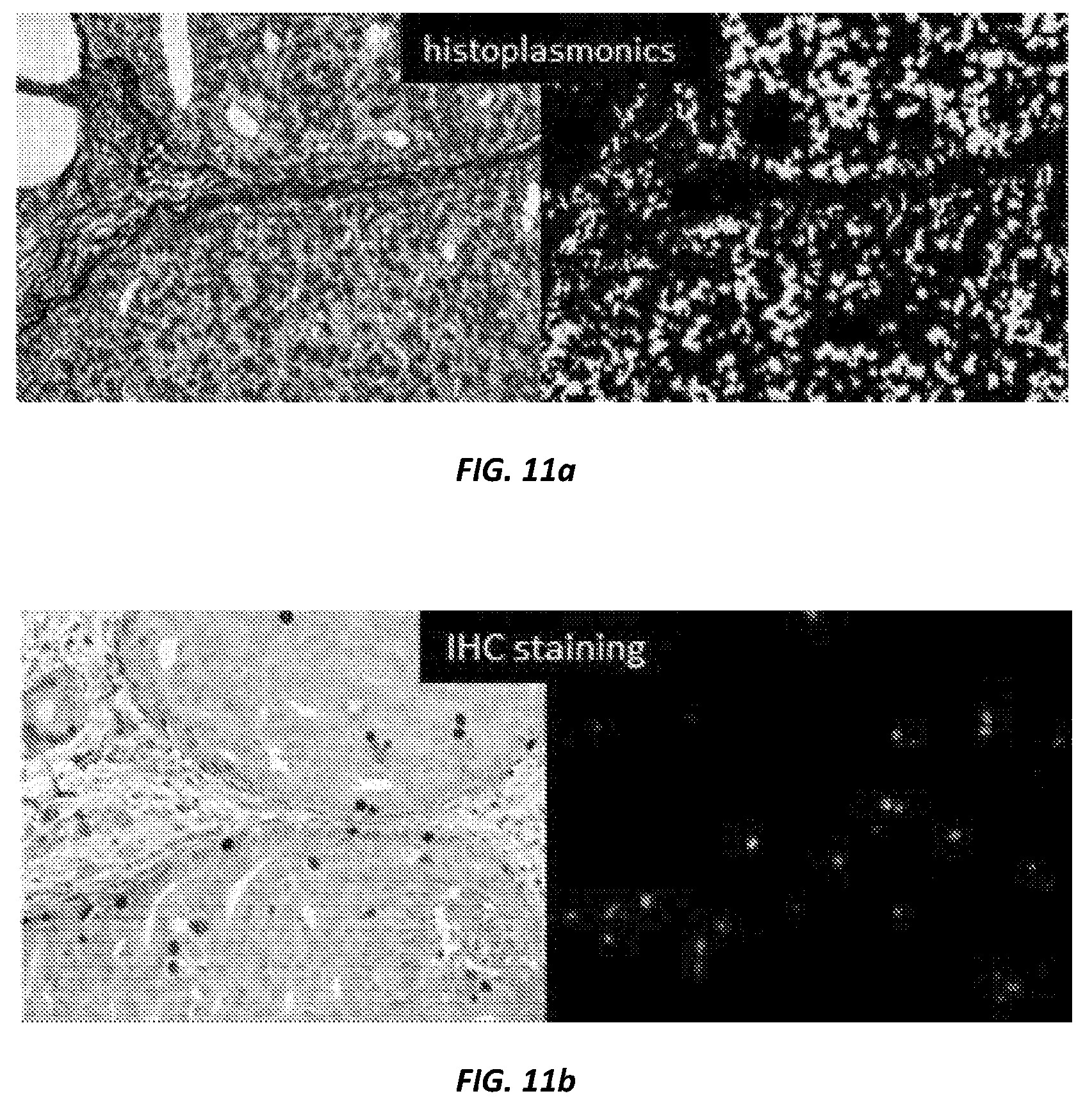 Patent US12315201 Figure 12 – Automated method of identifying a structure